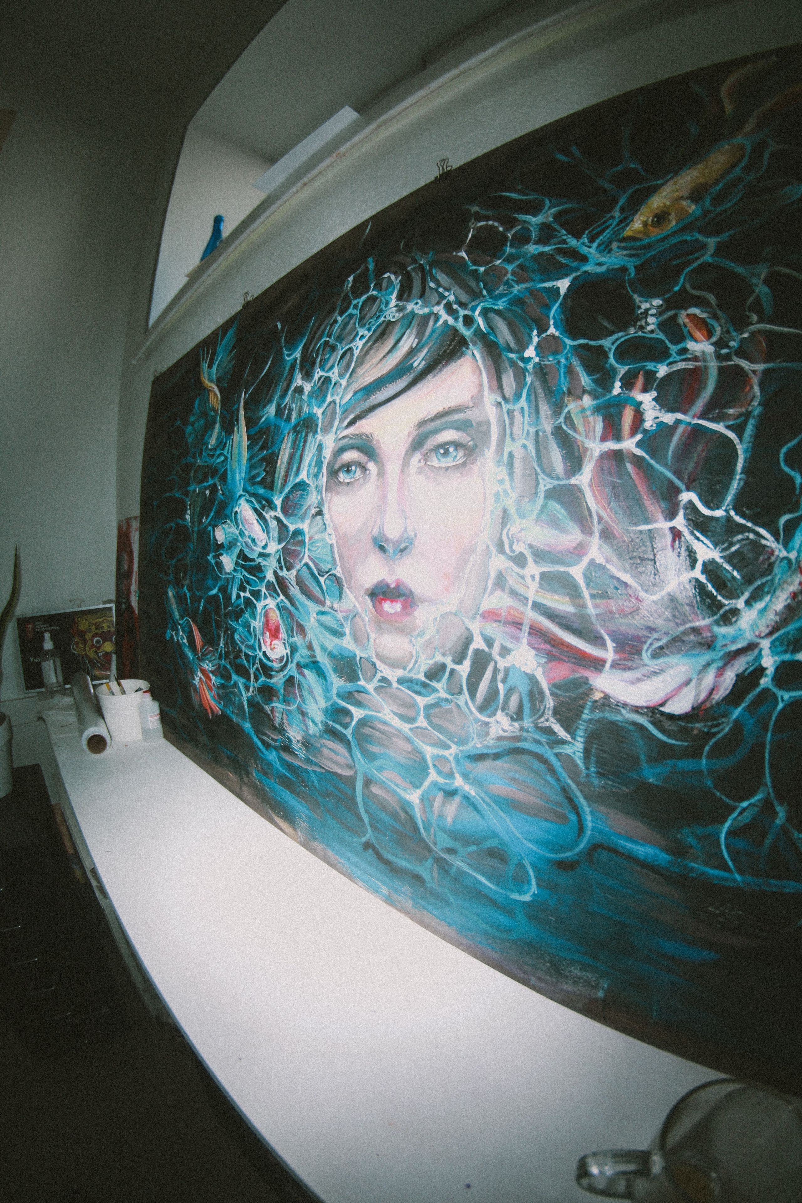 Bobo. Фотограф Мурманск | Нижний Новгород • Анна Хижняк