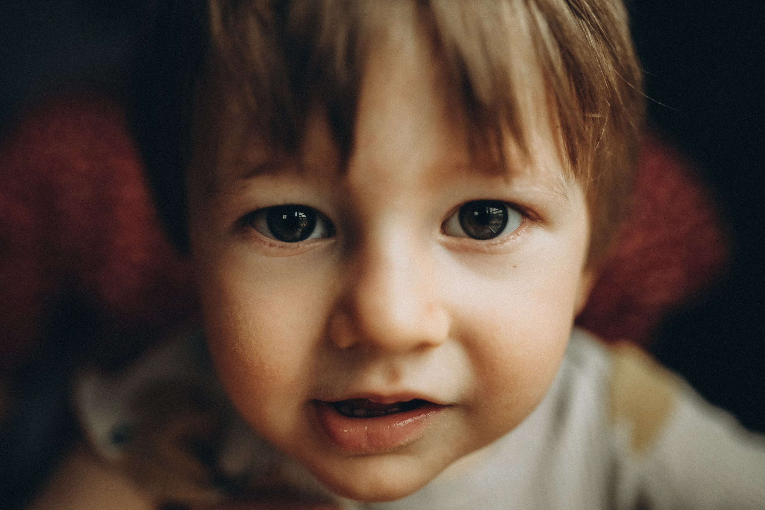 Один день дома. Семейный и детский фотограф в Москве Анастасия Меликова