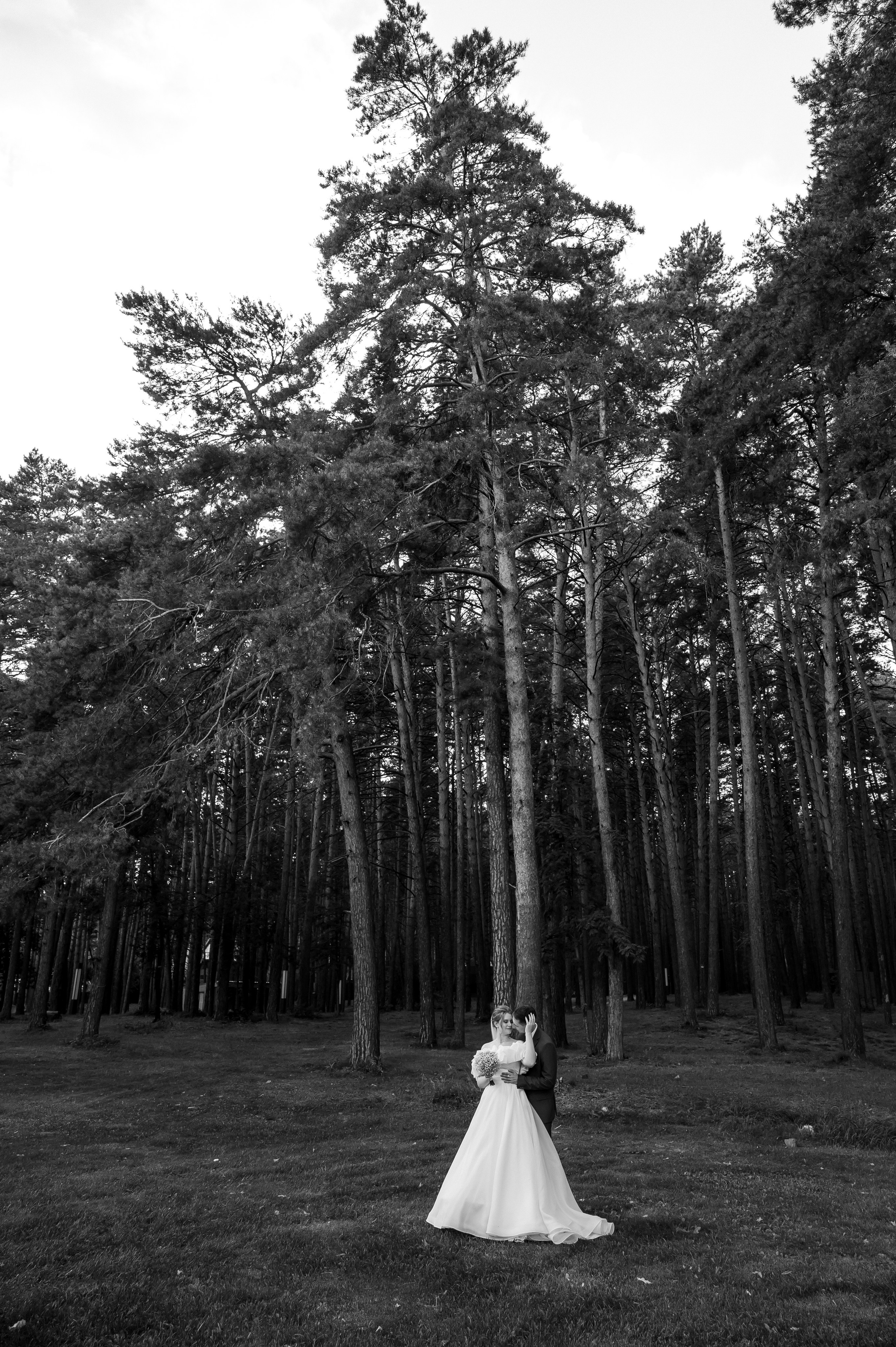 Егор и Елизавета 16.08.25. Свадебный фотограф в Новосибирске. Александра Верхушина