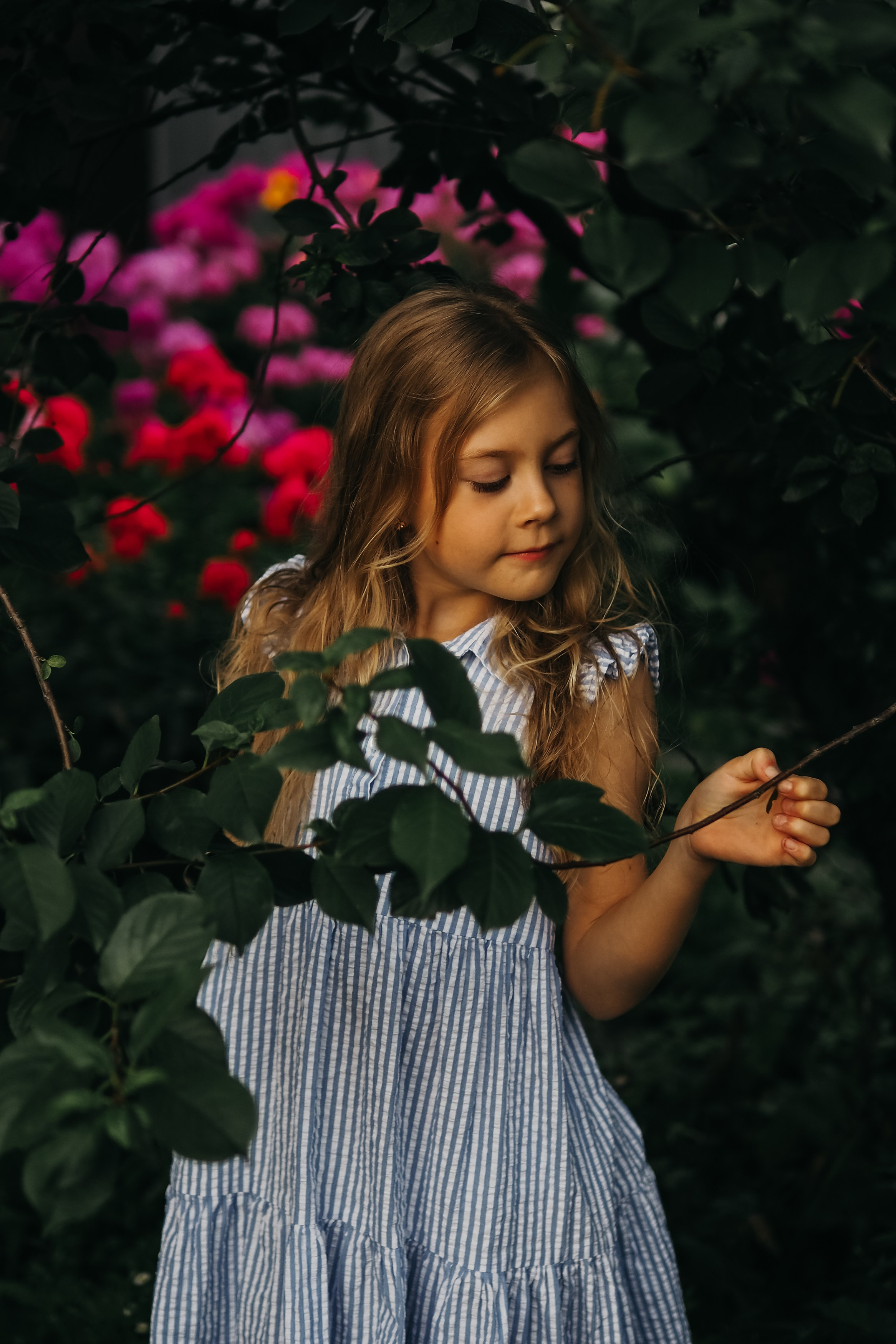 Цветная. Портретный фотограф Павлова Светлана / Брянск /