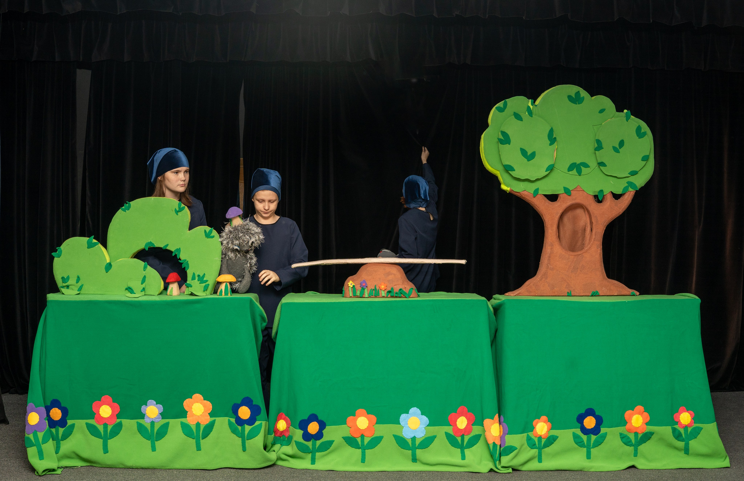 Спектакли. Детский и семейный фотограф в Краснознаменске Гостеева Екатерина