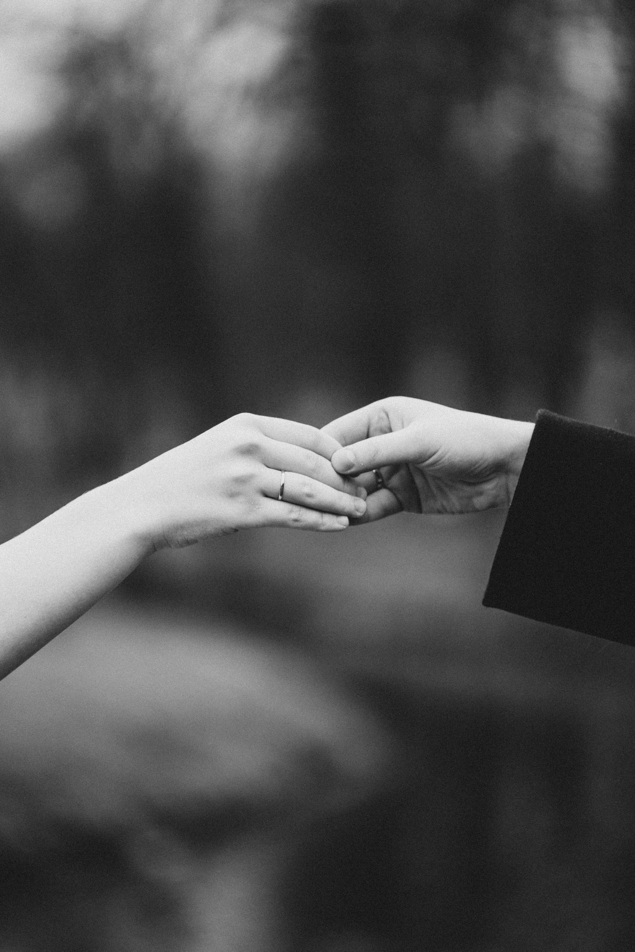 СВАДЕБНАЯ ВО ВТОРОМ ДВОРЦЕ И ПРОГУЛКА В ТАВРИЧЕСКОМ САДУ ЧБ. Профессиональный фотограф, Санкт-Петербург — Виктория Богомолова