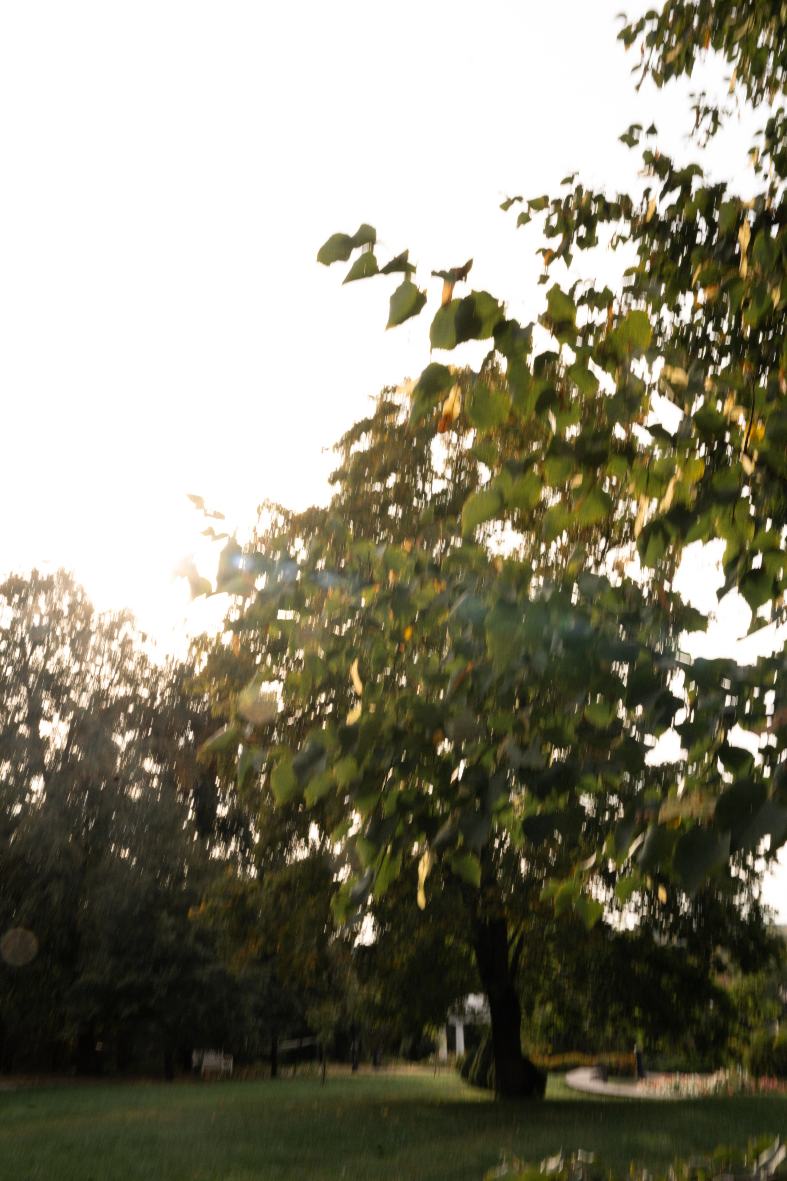 Дмитрий и Юлия. Свадебный фотограф Воронеж Марина Грудинина