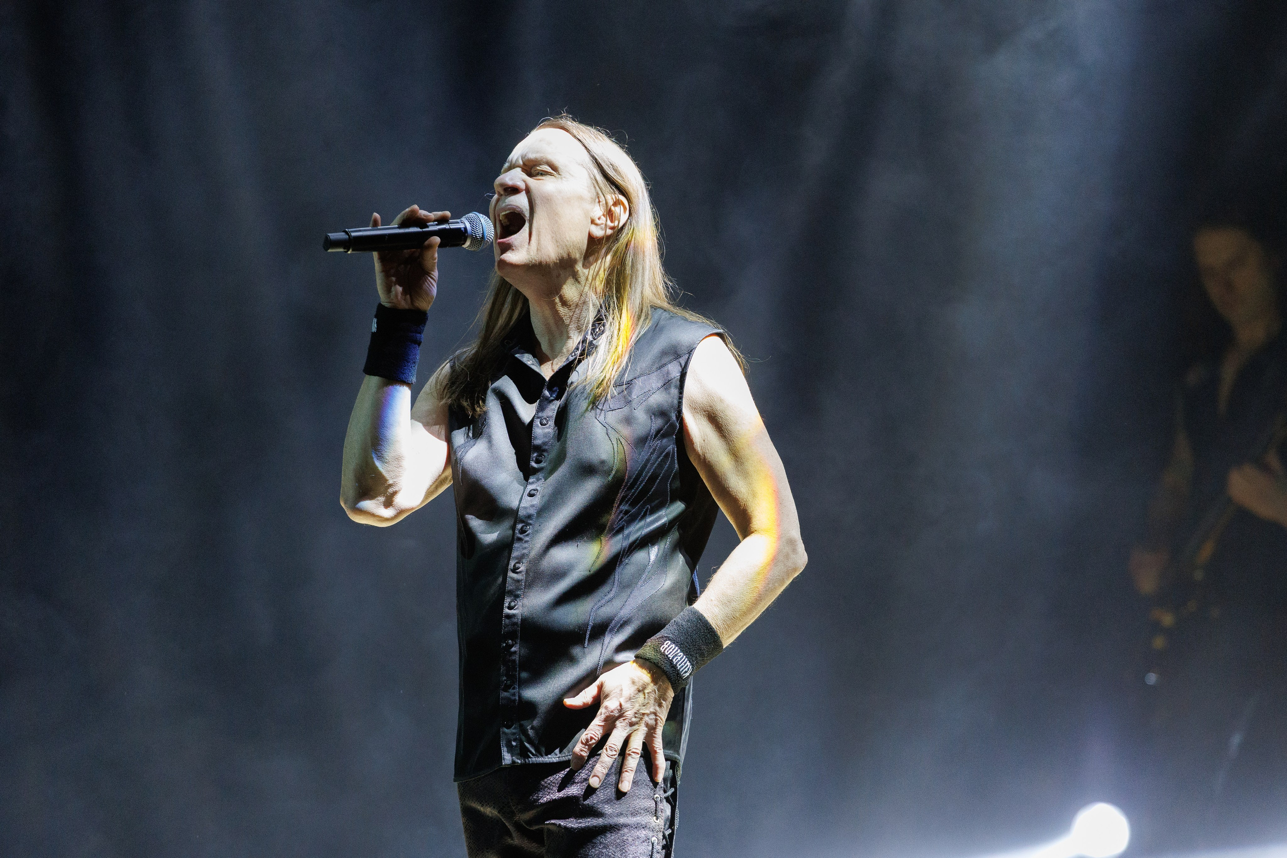 «КИПЕЛОВ». Photomantis