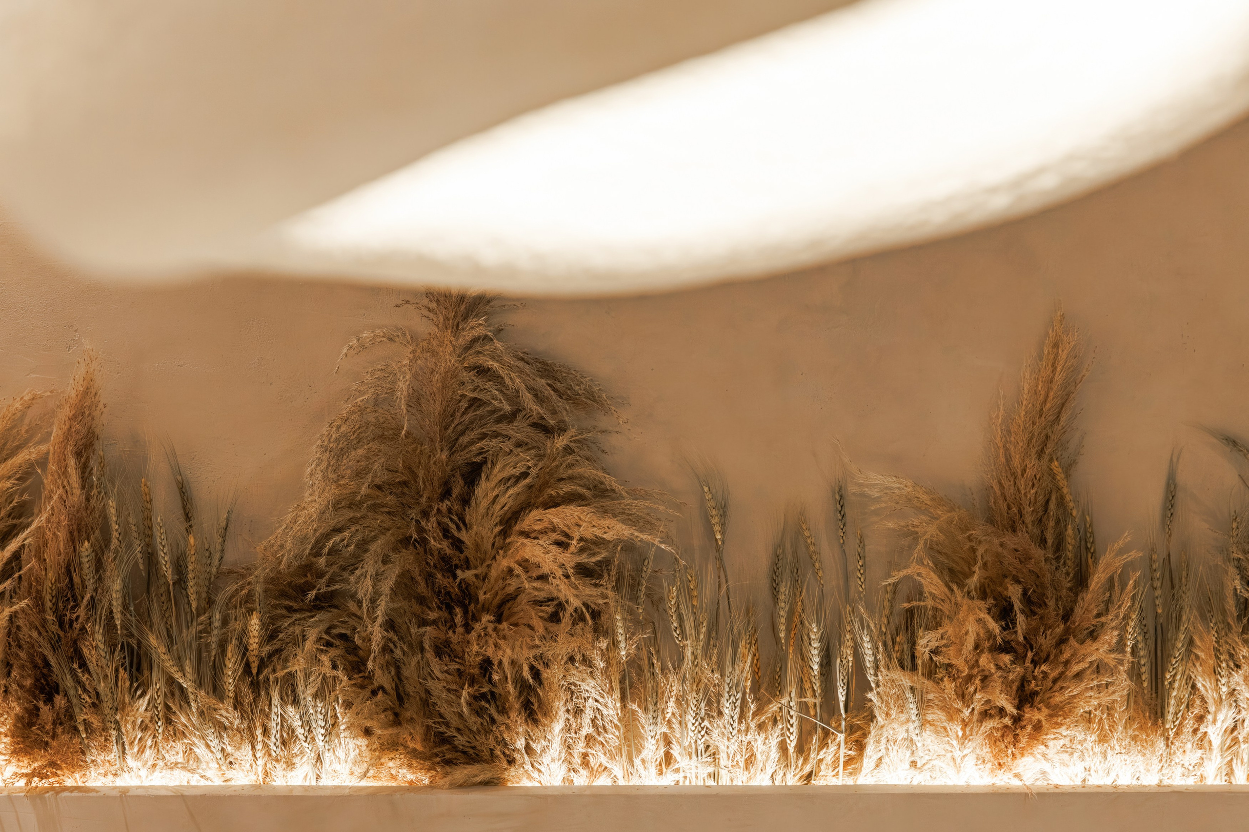 Текстура. Репортажный фотограф в Санкт-Петербурге Жолудев Владислав