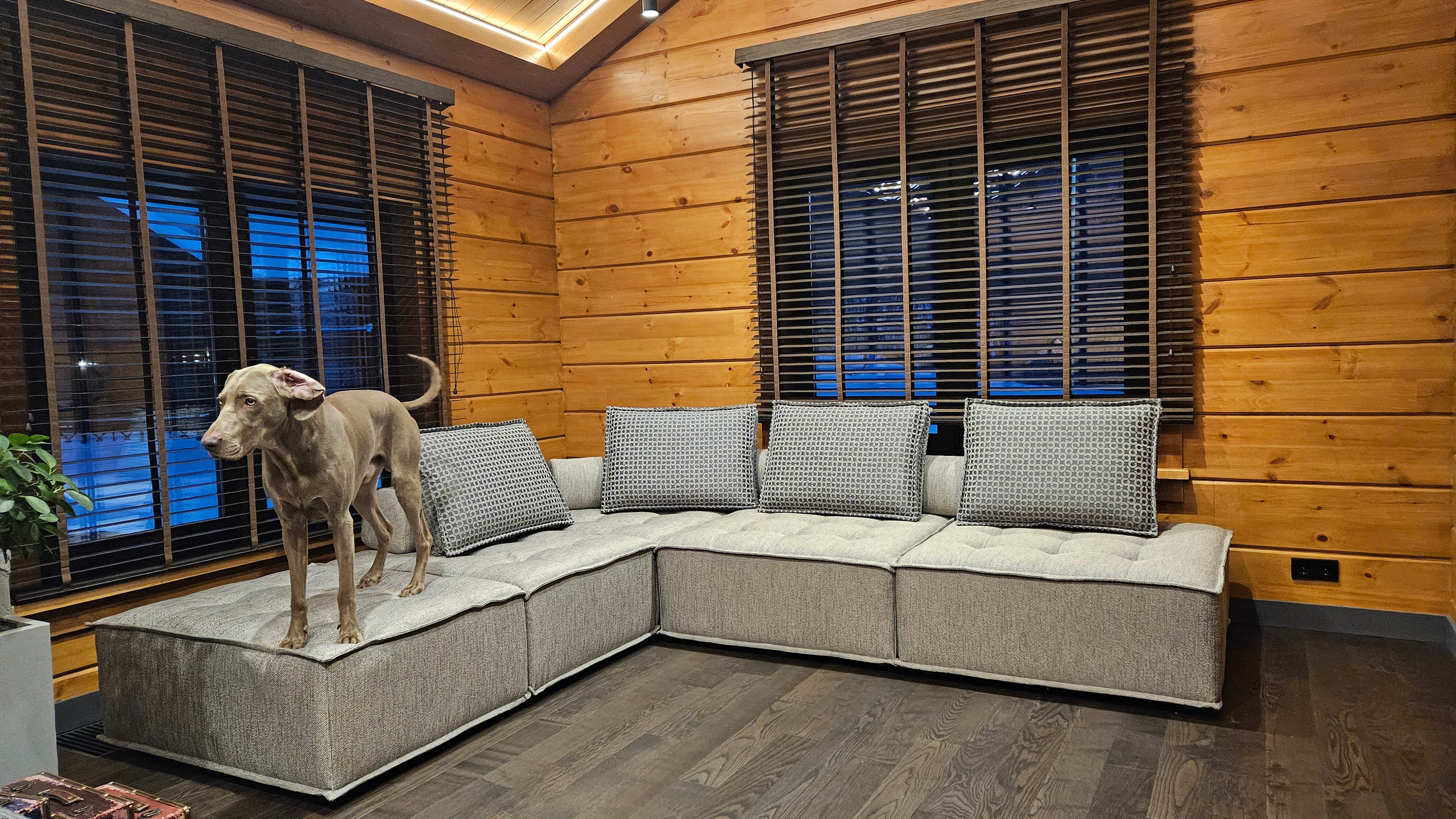 Диван на заказ Изготовление мягкой мебели. Студия интерьерных решений SUNHOUSE. Натяжные потолки, шторы, текстиль