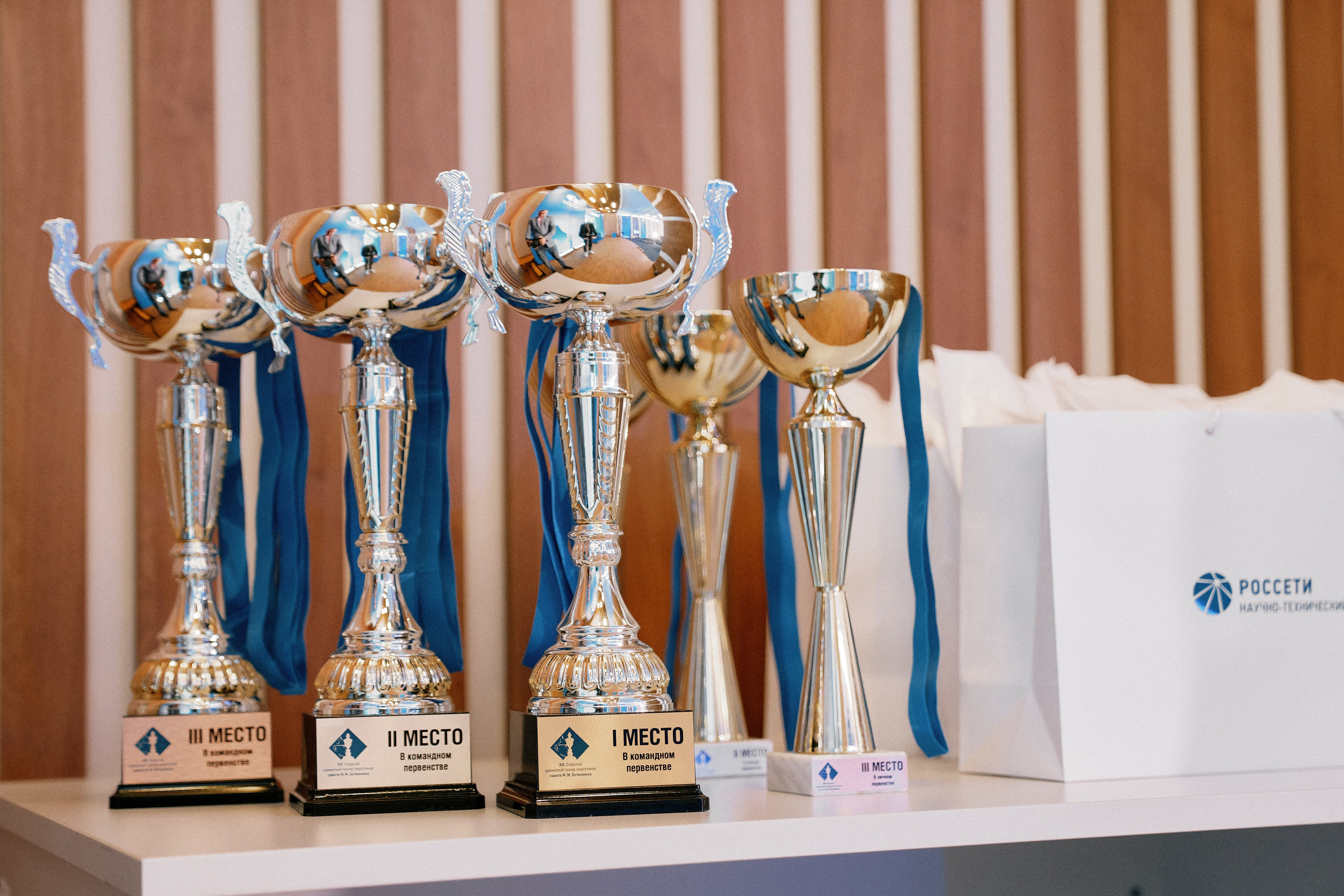 РОССЕТИ. Шахматный турнир. Репортажный фотограф Владимир Горбатенков | Москва