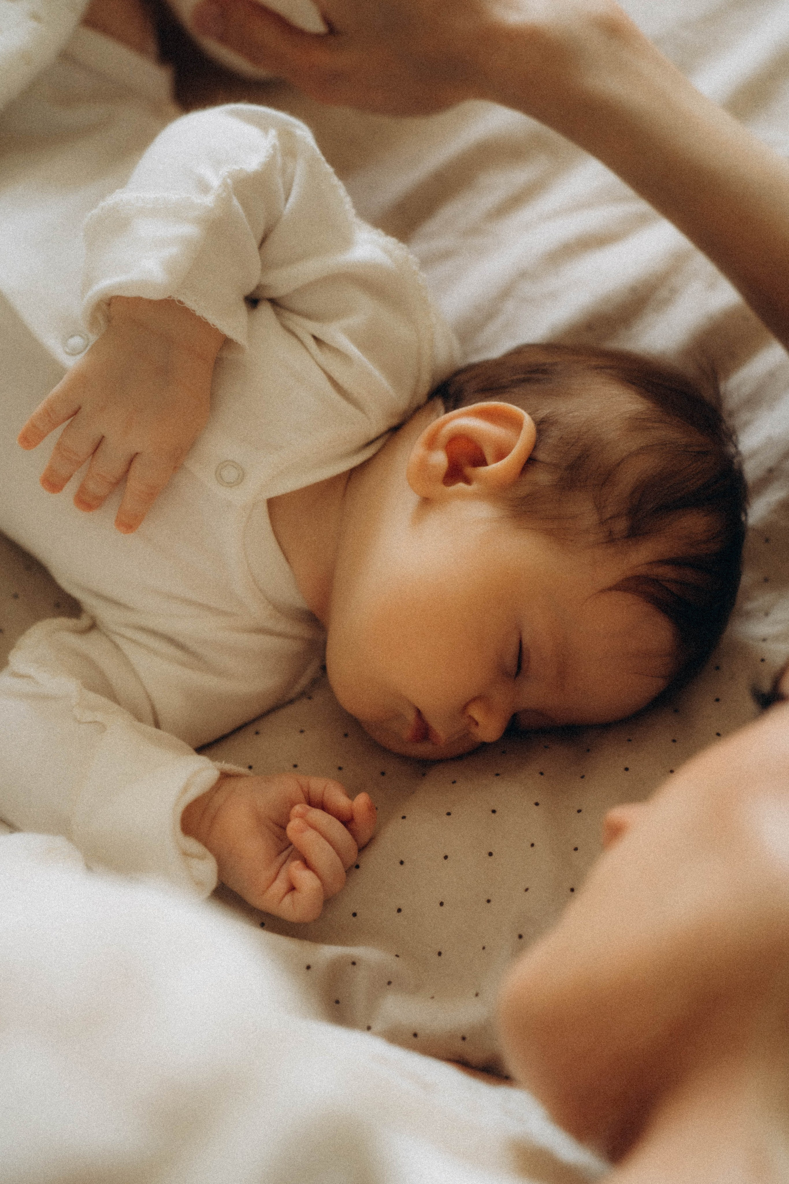 Аврора. Фотограф Москва Селюкова Юлия