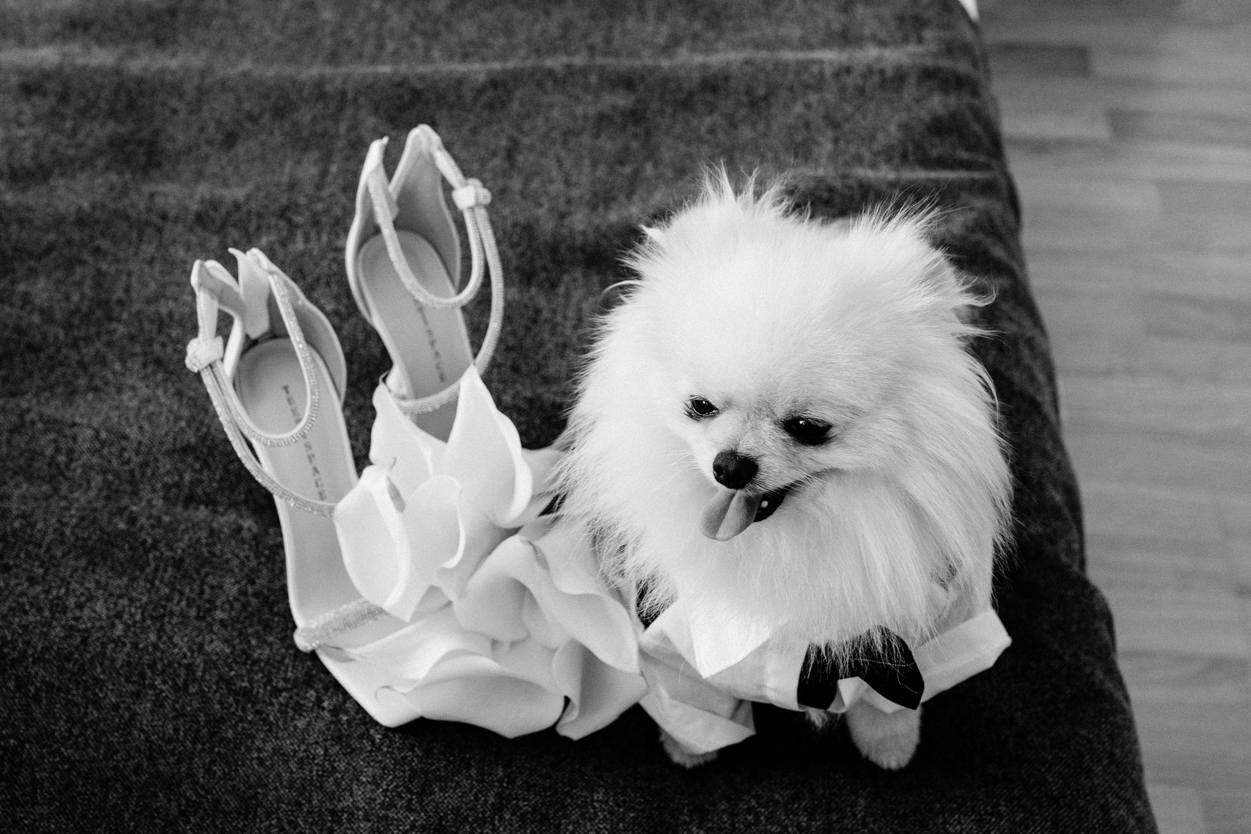 Мое портфолио за 2025 год. Свадебный фотограф СПБ