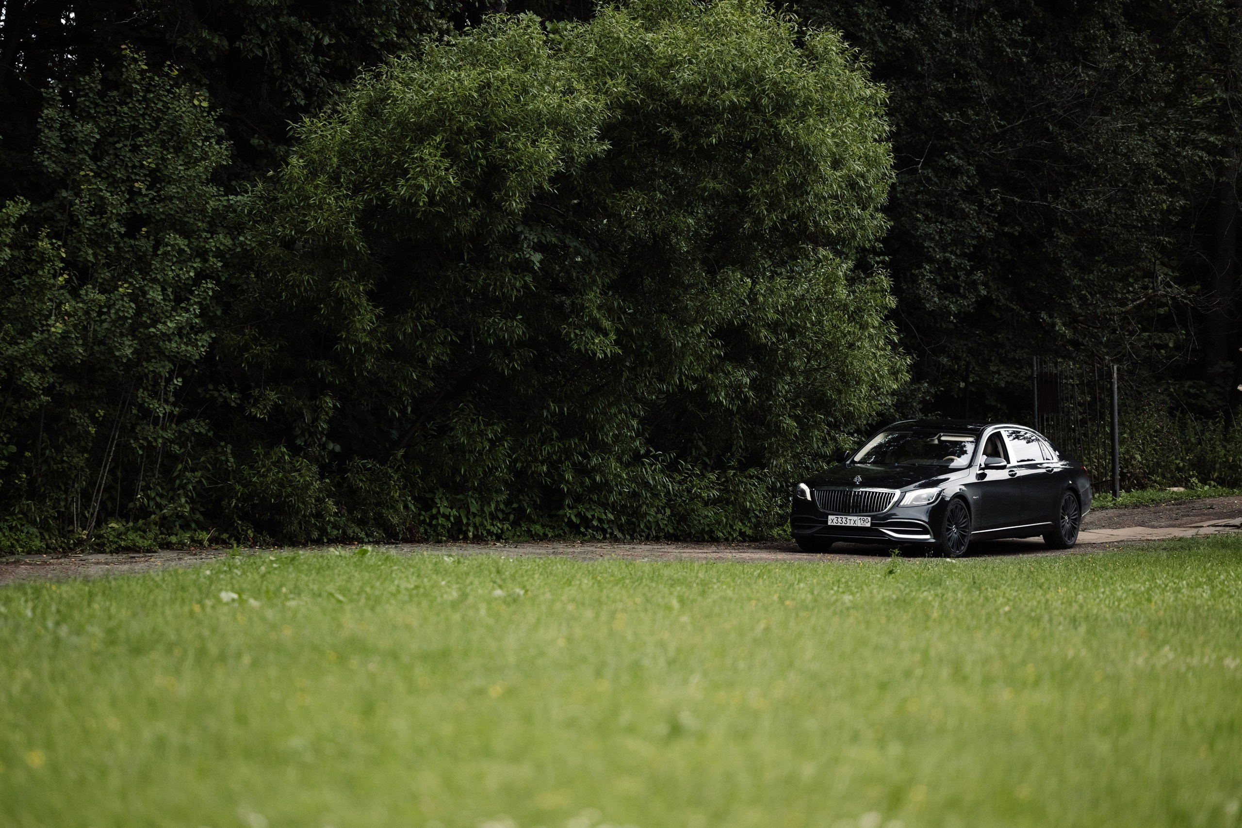 Илья и Даша