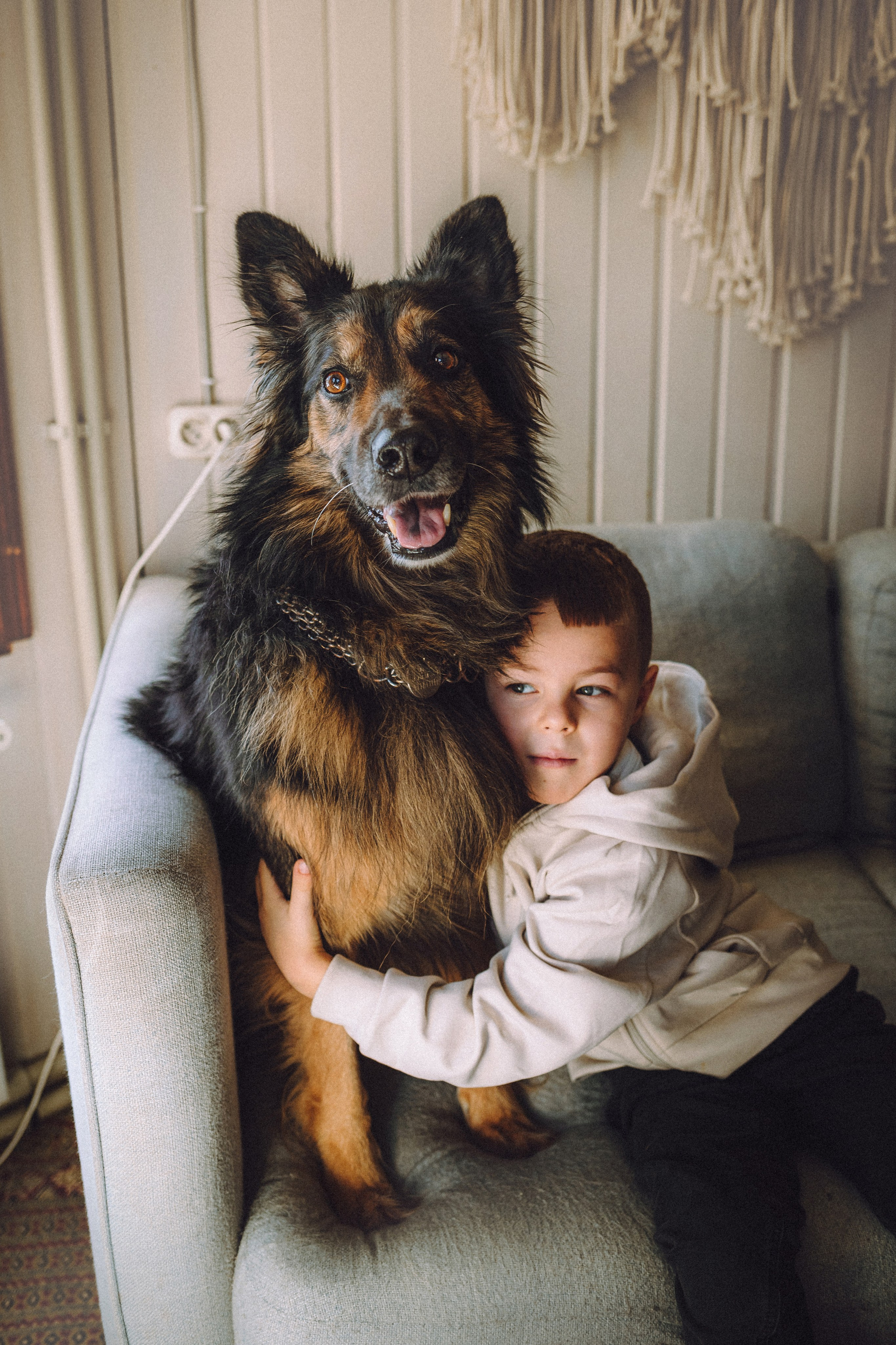 Плюш, Айса и их семья