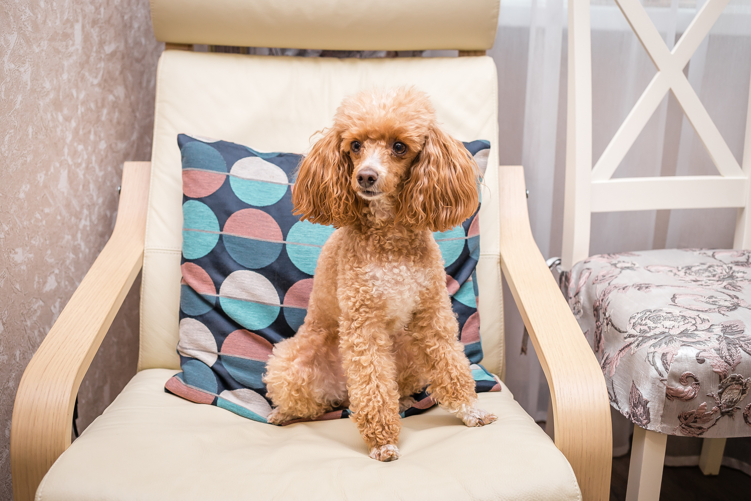 Полина и Александр. Фотографиня Мария Дикова