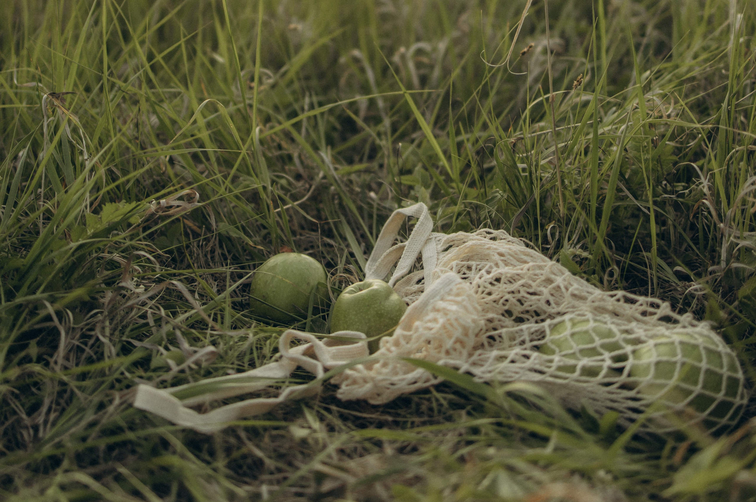 Летний закат. Альбина Казачихина — Семейный фотограф — Казань