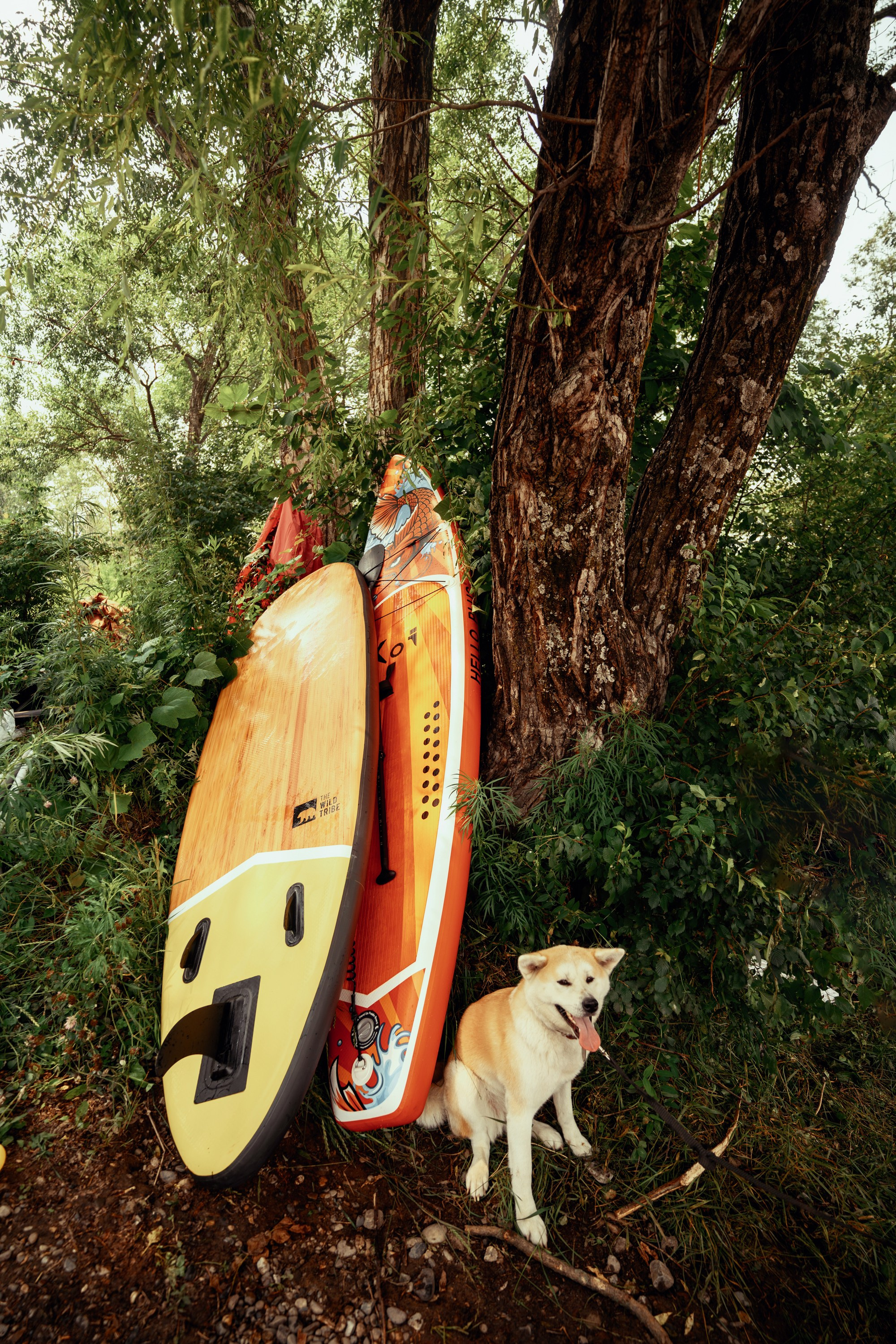 Репортаж. Фотограф в Хабаровске. Фотография за 24 часа