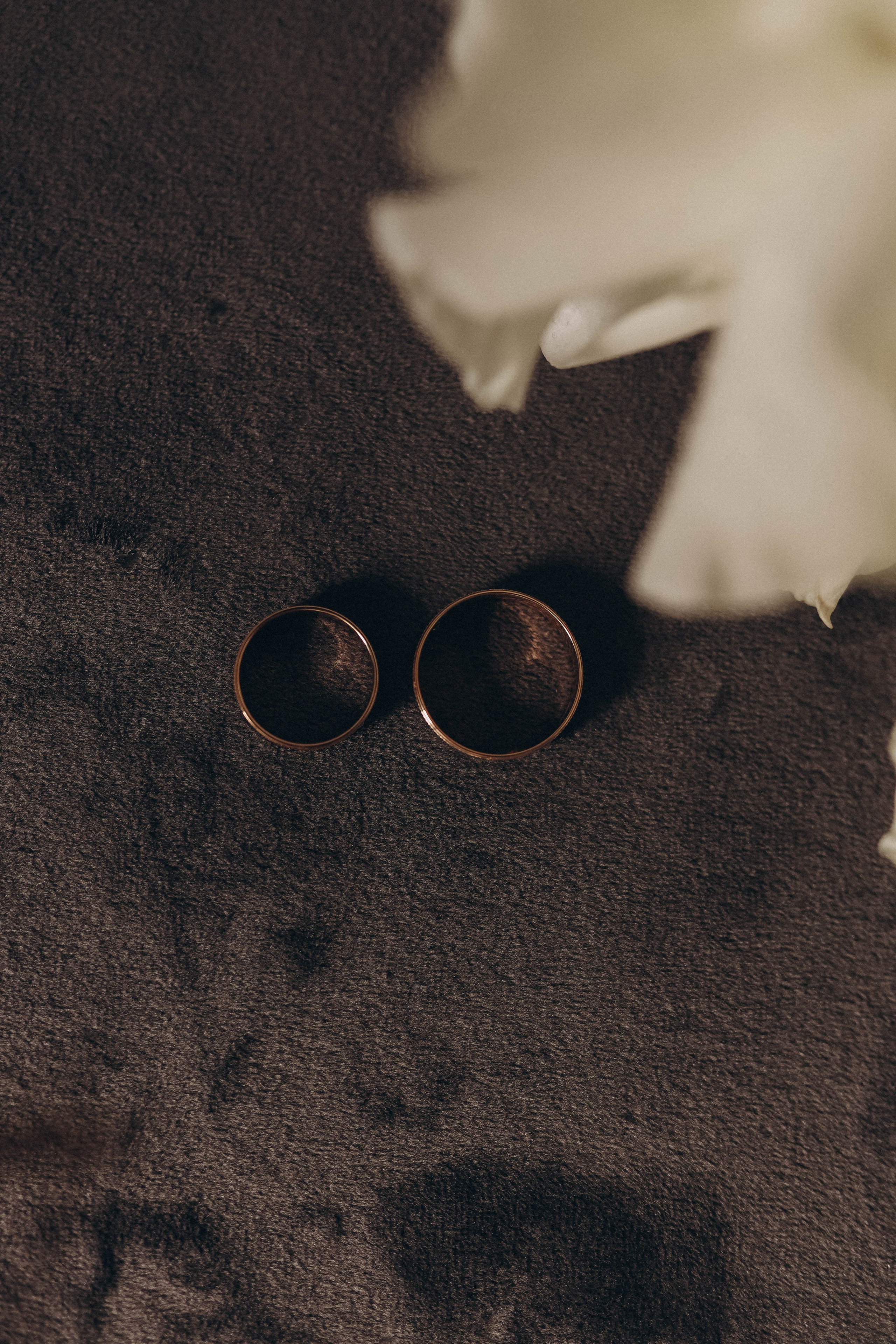 D&N. Свадебный и семейный фотограф Елизавета Артемьева