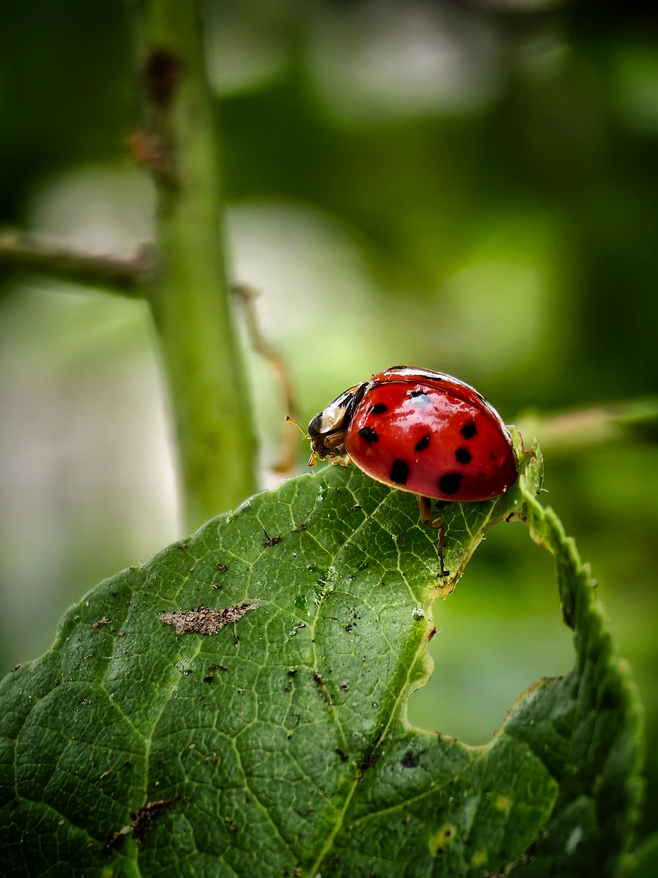 Большое в малом