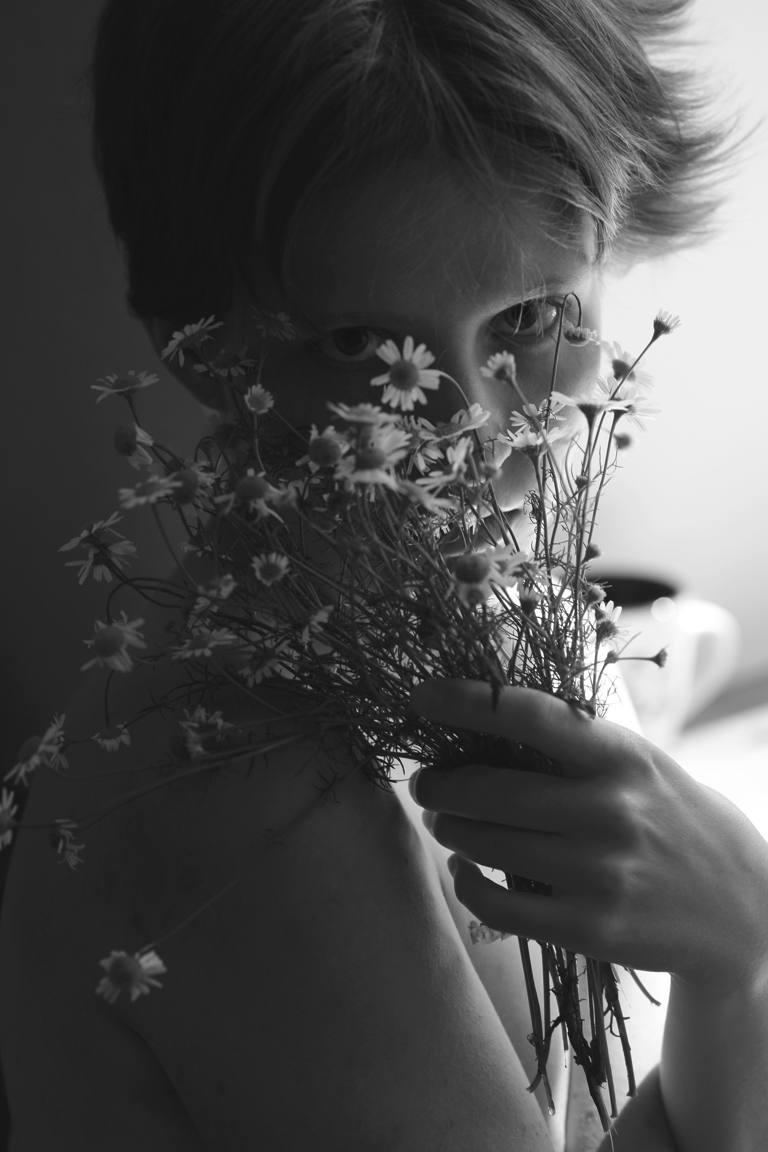 Ромашки. Свадебный и репортажный фотограф в Ярославле и Санкт-Петербурге Роман Микрюков