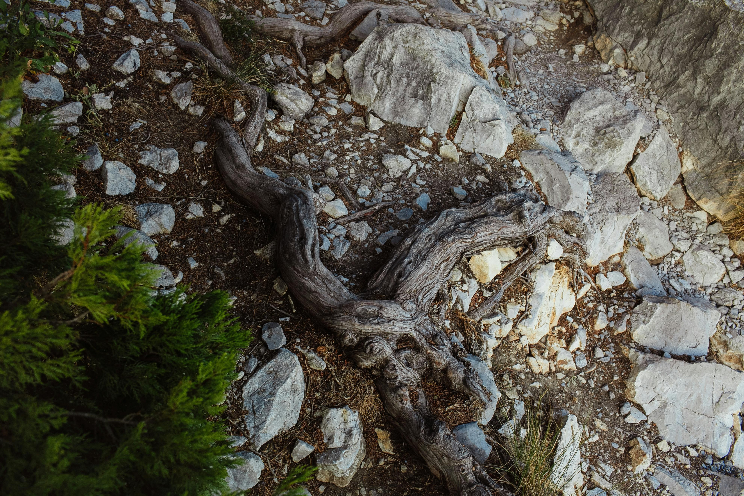 Крым. Свадебный и репортажный фотограф в Ярославле и Санкт-Петербурге Роман Микрюков
