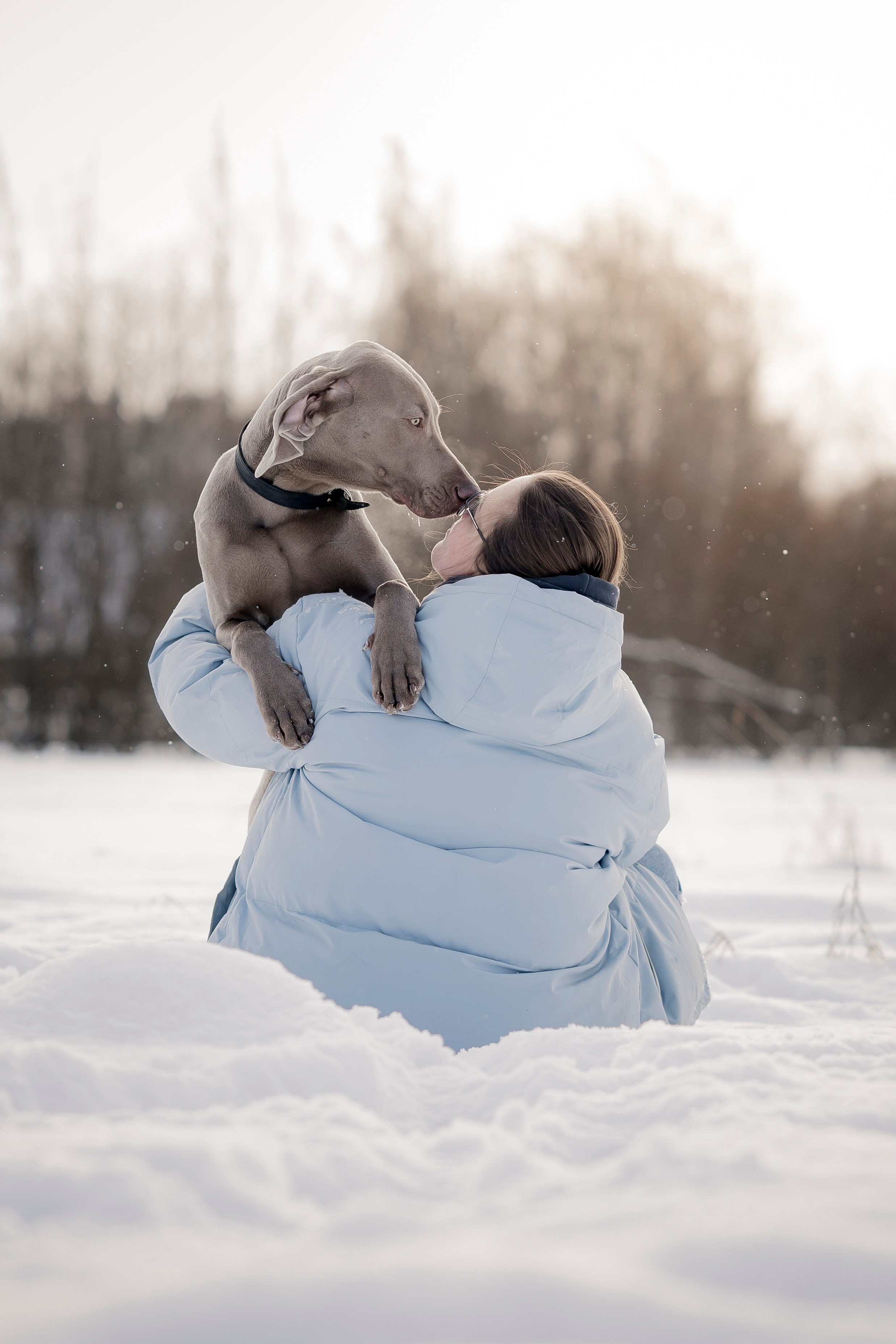 Фотопрогулка с красивой собакой. Фотограф анималист в Санкт-Петербурге Таша Крейв