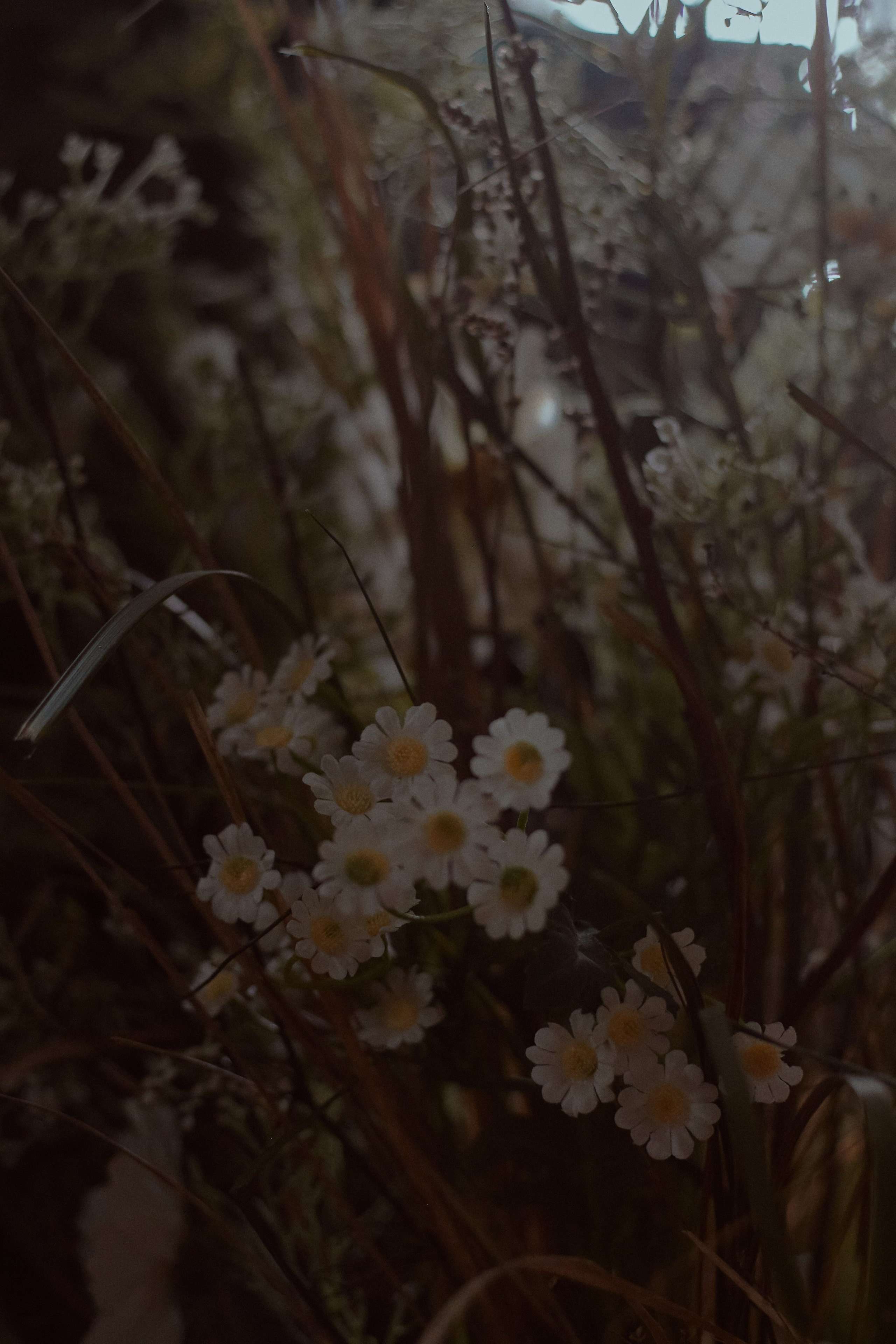Мать и Дочь. Фотограф лавстори Москва/МО Приятелева Ангелина