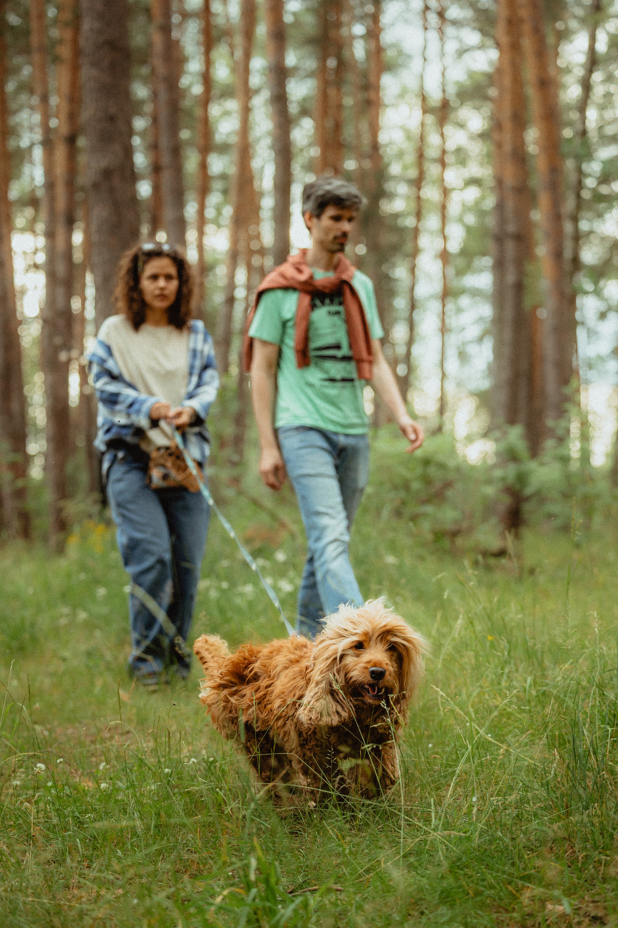 Выездной дог-тренинг от школы «Шерсть имею»