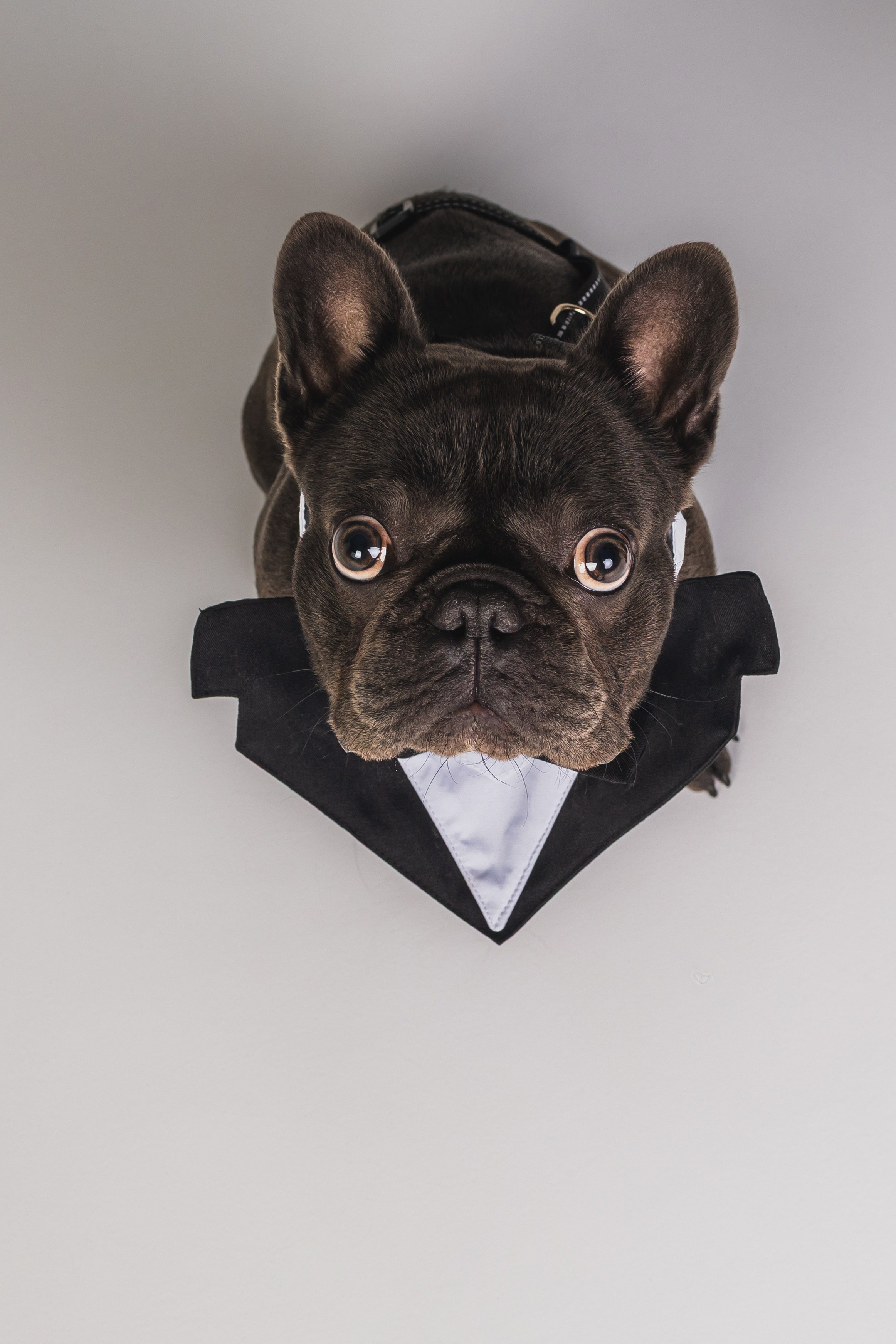 Кристина и Счастье