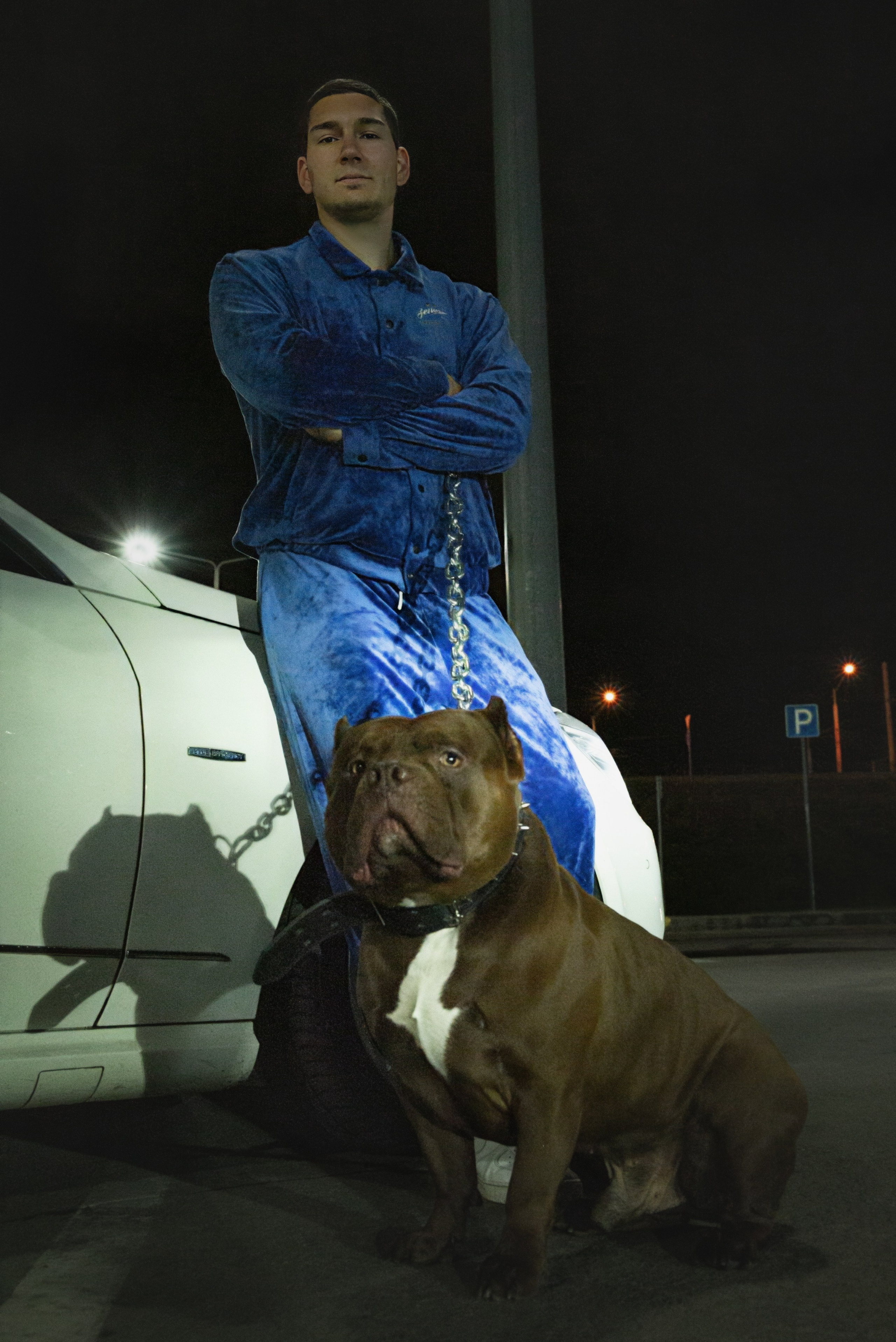 Съемка с собаками, животными. Сайт фотографа Елены Коноваловой Иркутск