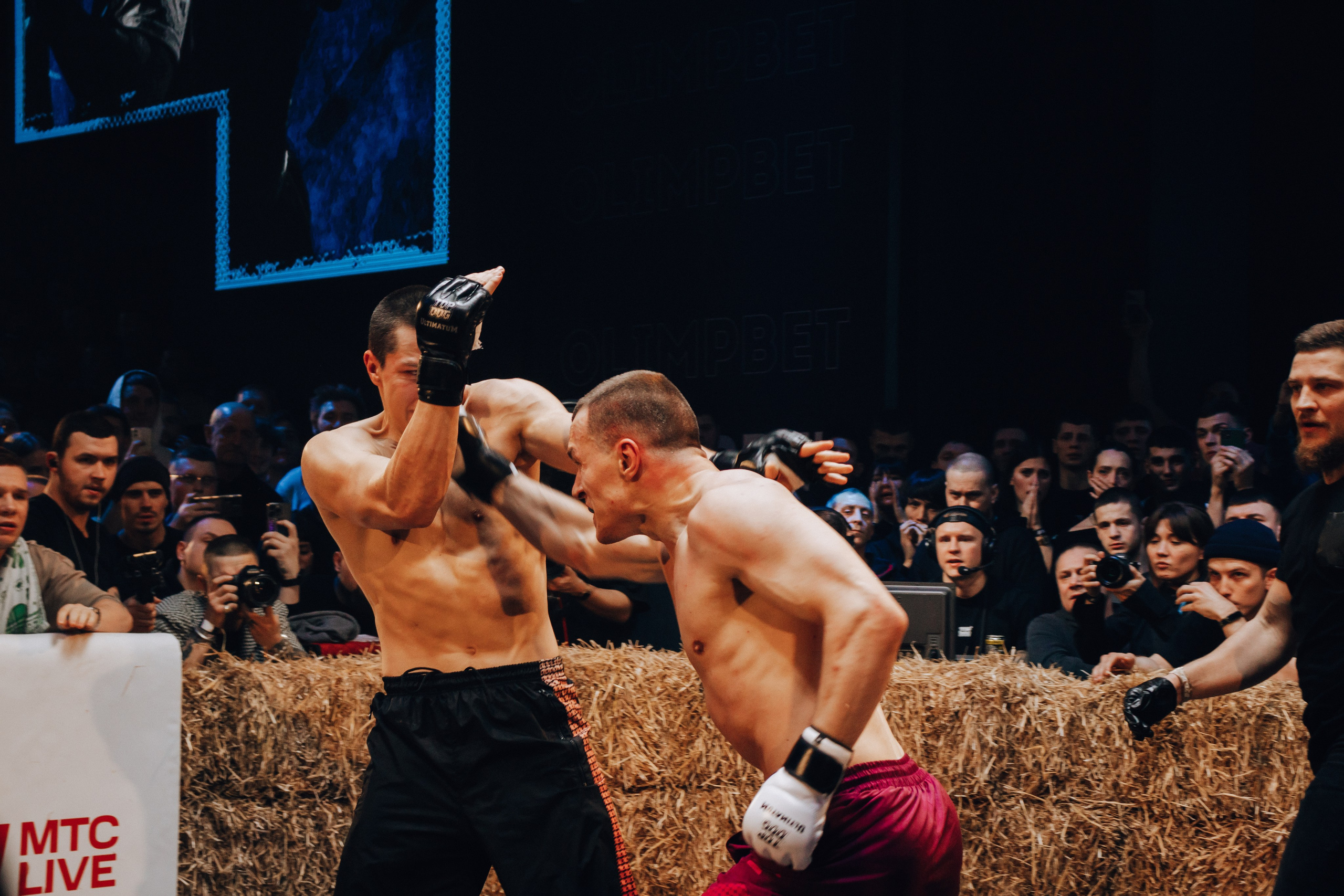 Кулачные бои TopDog. Анастасия Тен