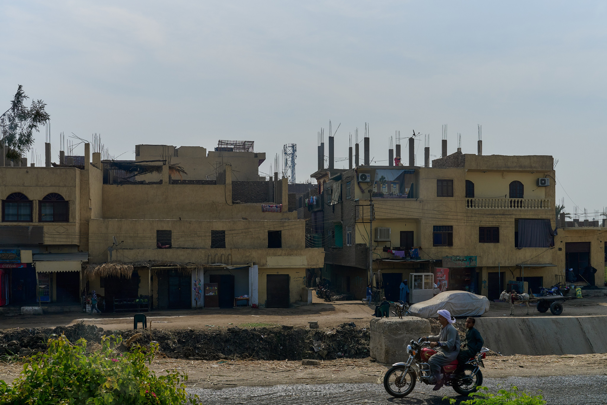 Луксор. Февраль 2025. Фотограф Роман Адлер