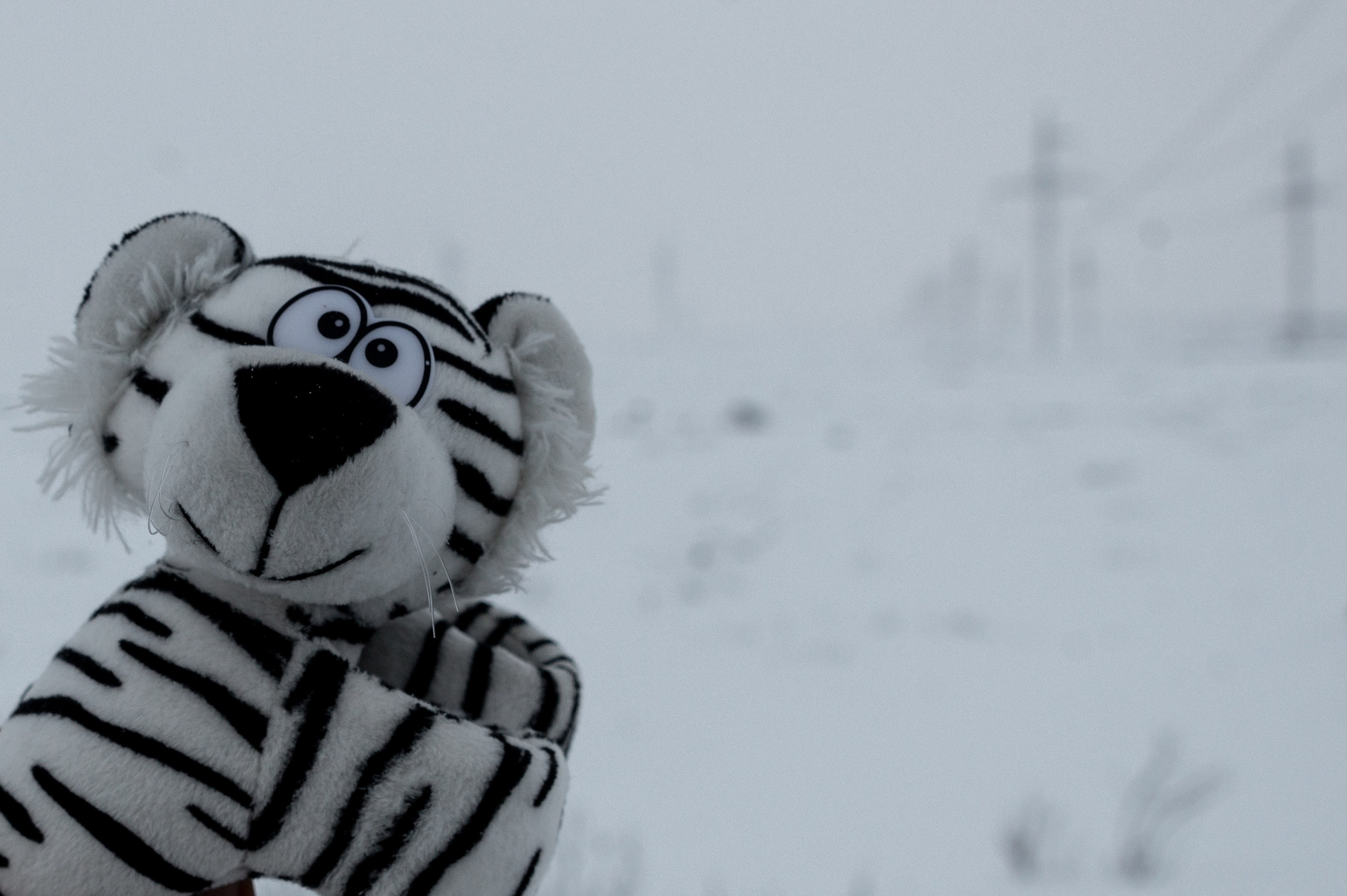 Териберка. Ноябрь 2023. Фотограф Роман Адлер