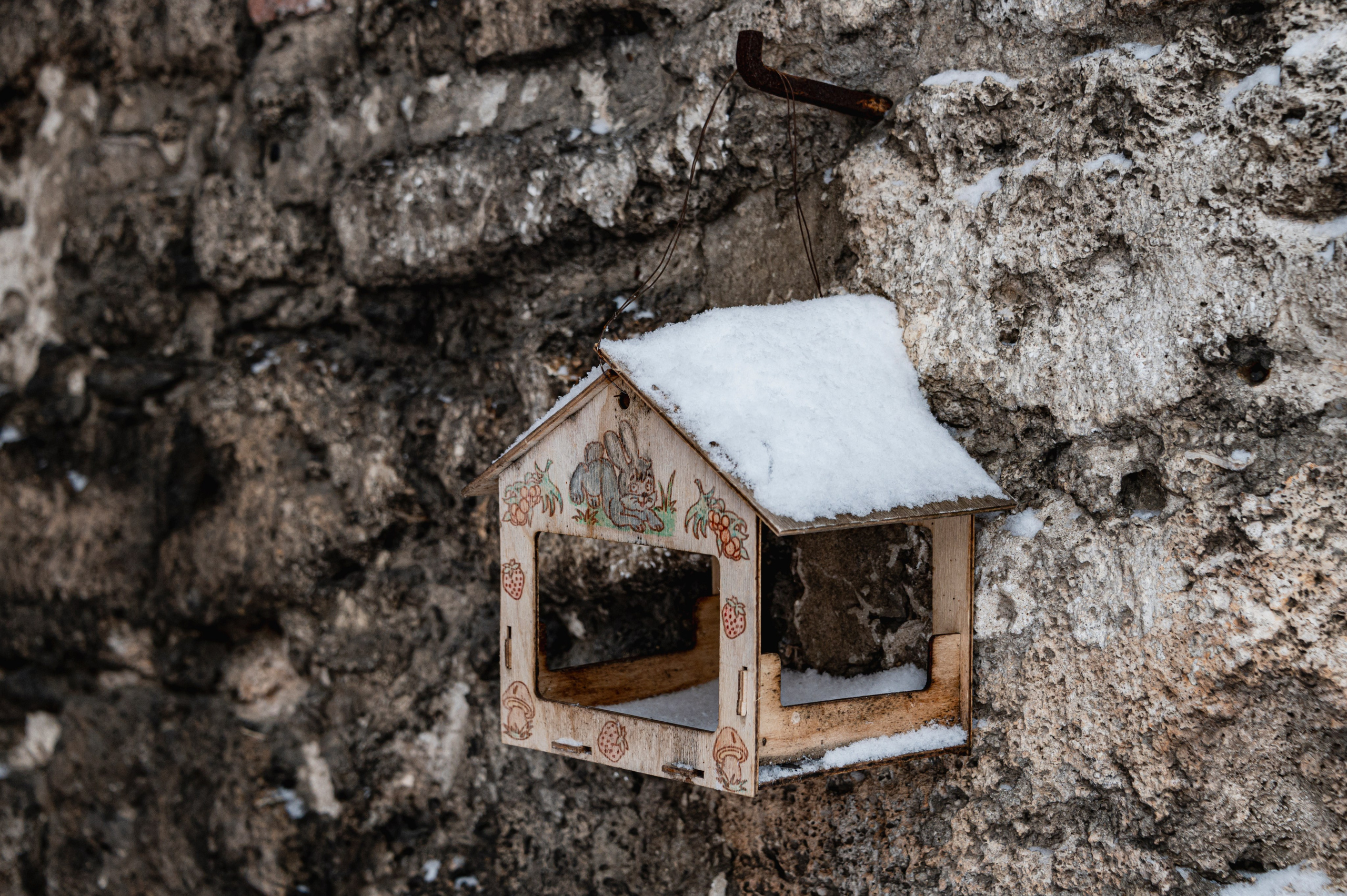 Нижний Новгород. Январь 2024. Фотограф Роман Адлер