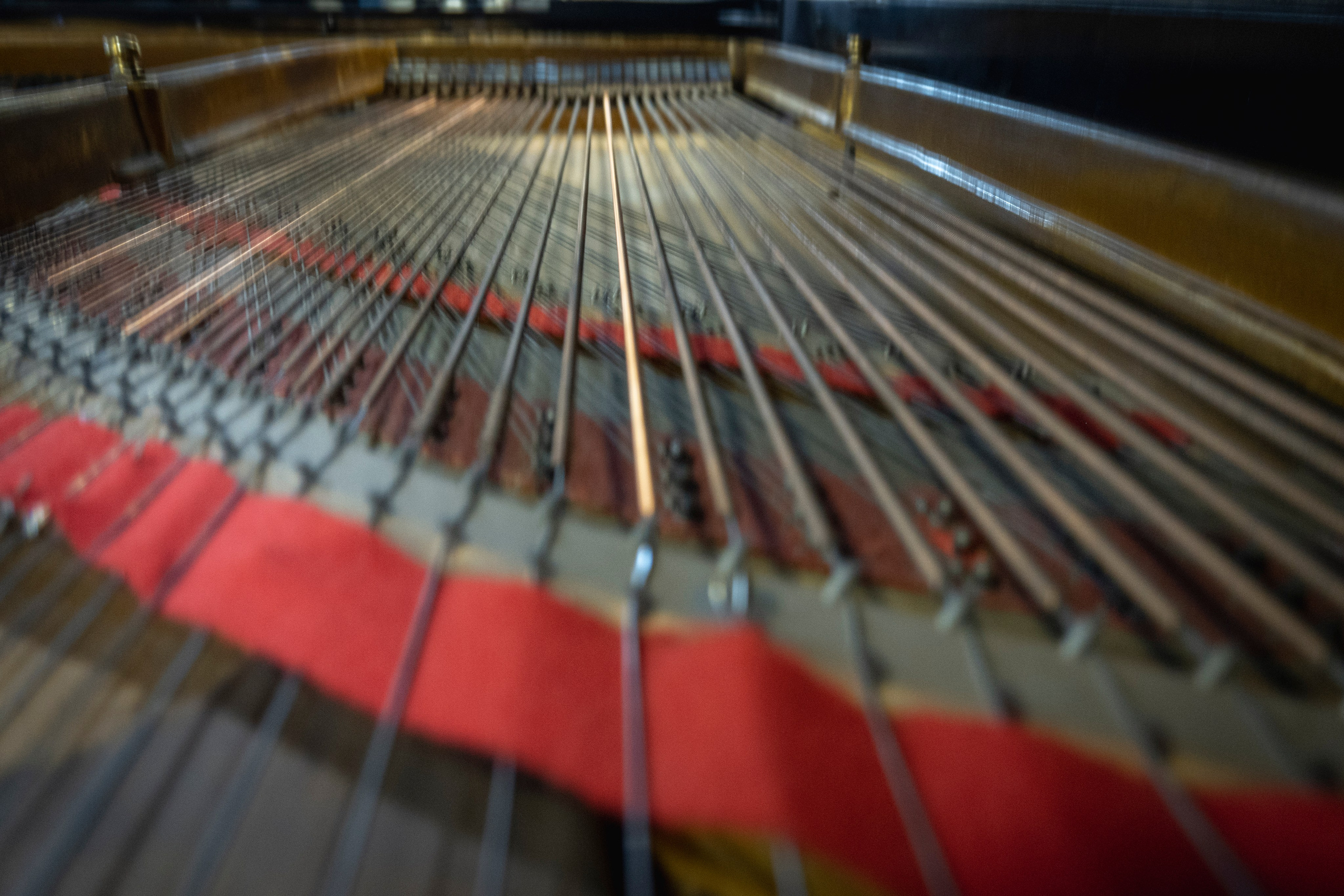 Творческий вечер. Друзья, стихи и песни!. Фотограф Роман Адлер