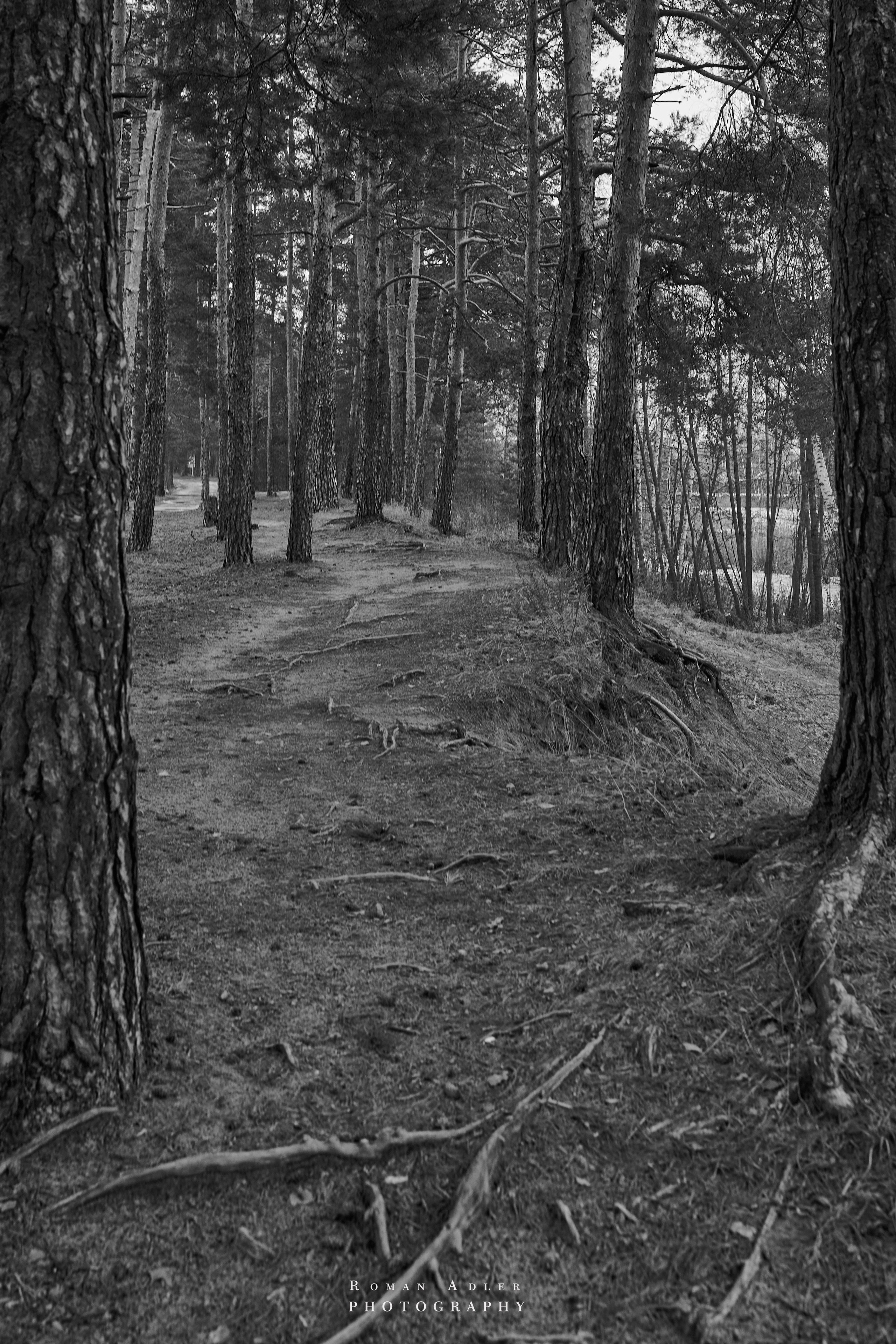 Место силы…. Фотограф Роман Адлер