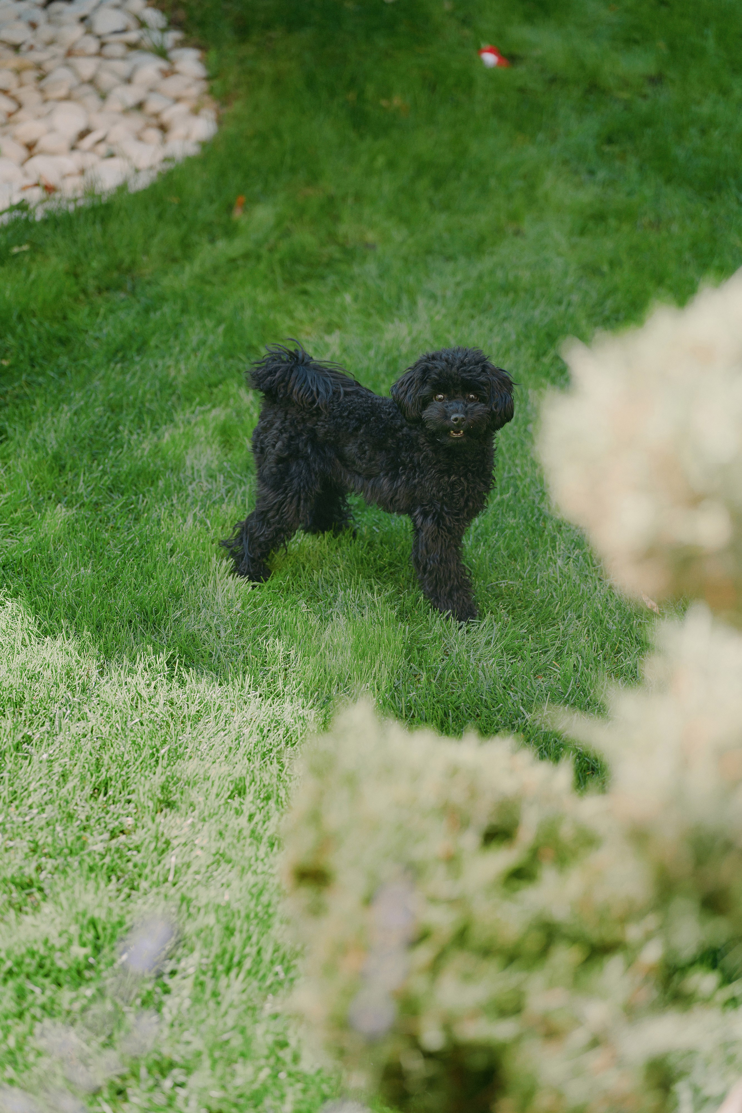 Your love is all I need in my world. Свадебный фотограф в Ростовe-на-Дону Анастасия Прутова