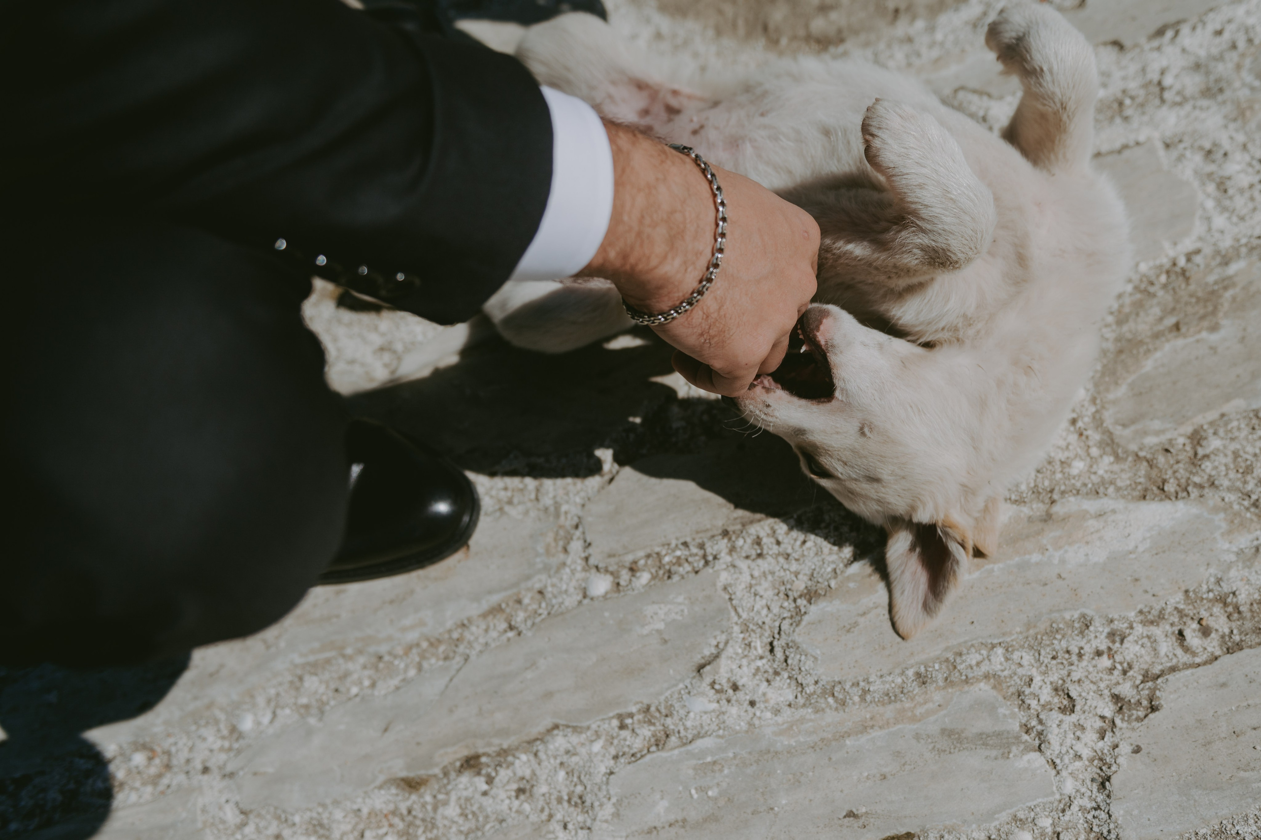 Елизавета$Дмитрий. Свадебный и семейный фотограф город Темрюк Фотостудия Темрюк