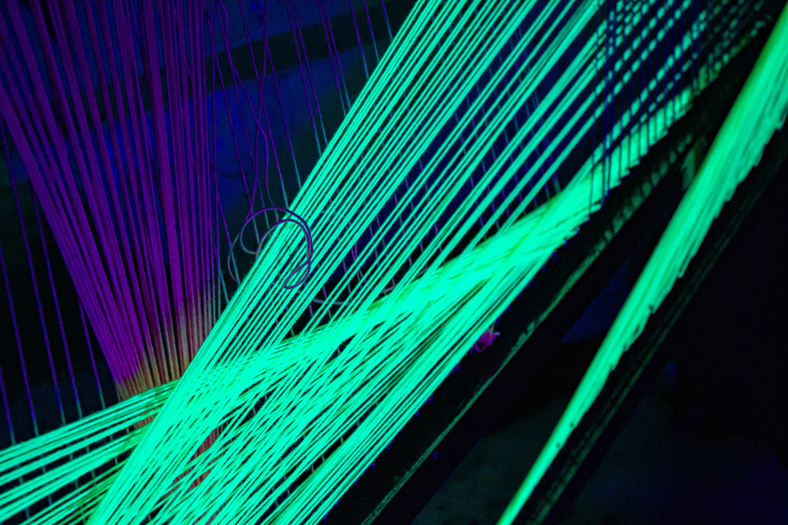 НЕ ТЕМНО_ЛИЦЕЙ им. С. П. ДЯГИЛЕВА 2025