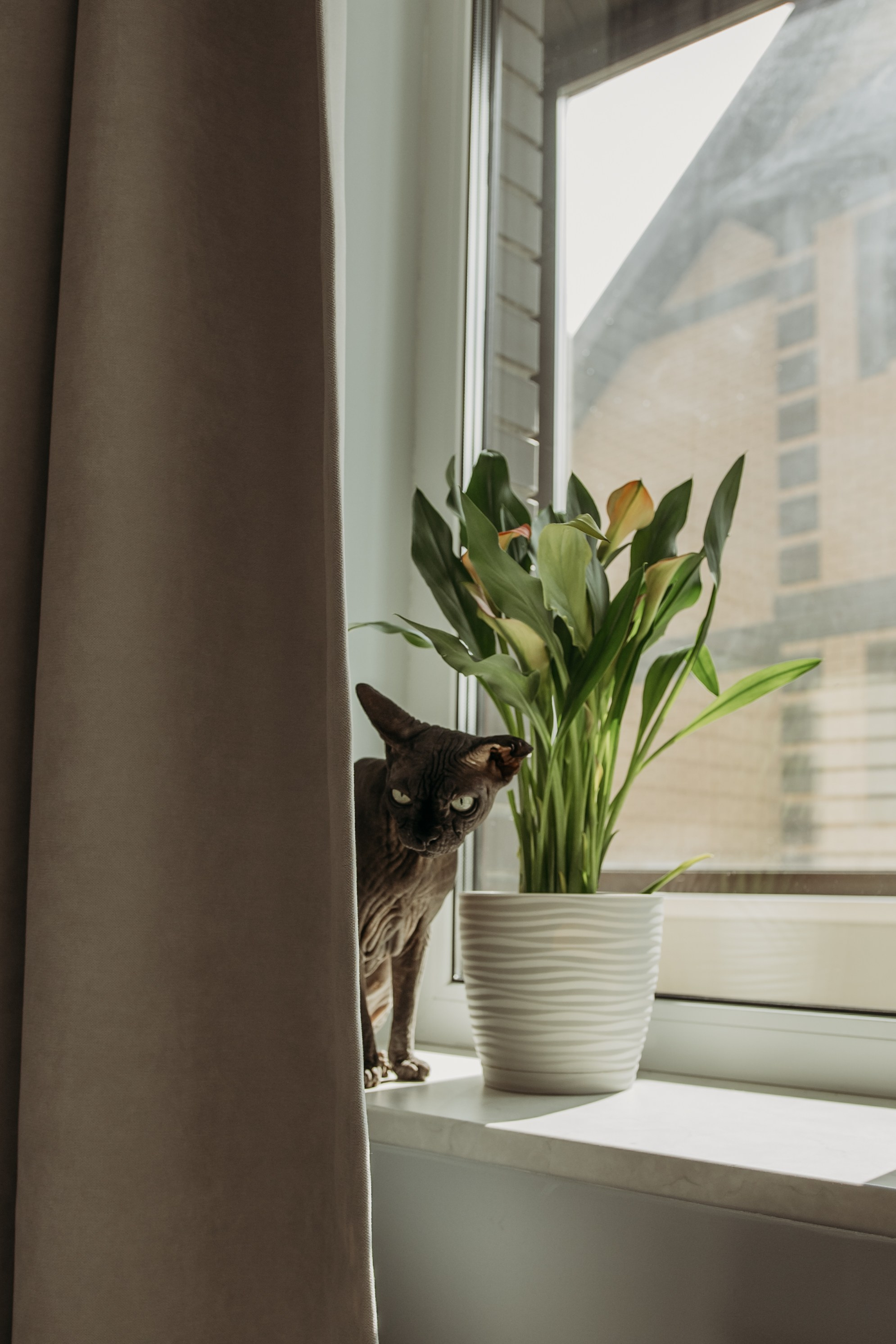 Светлана и Костя. Гаврилова Настя семейный фотограф lifestyle в Москве