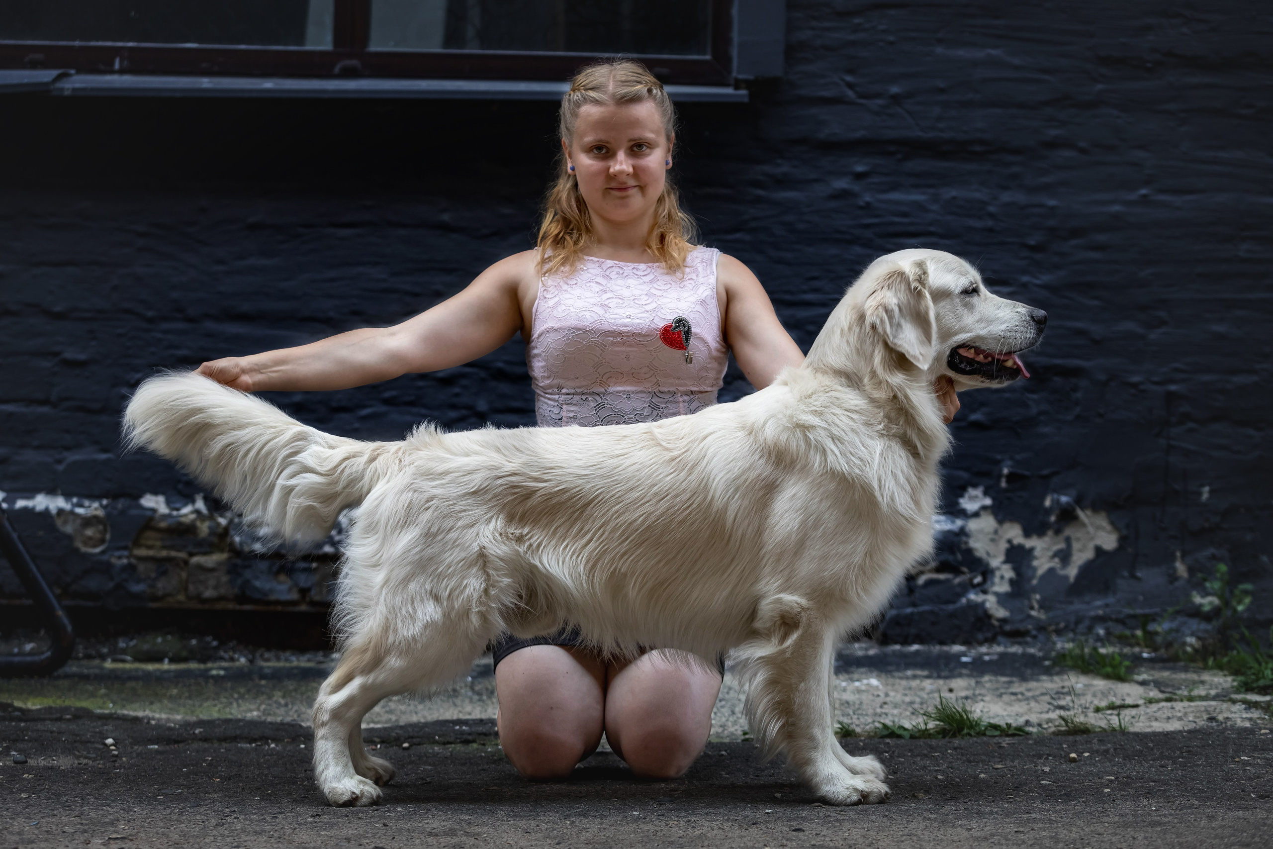 Голден. Https://moshkovaphoto.ru/