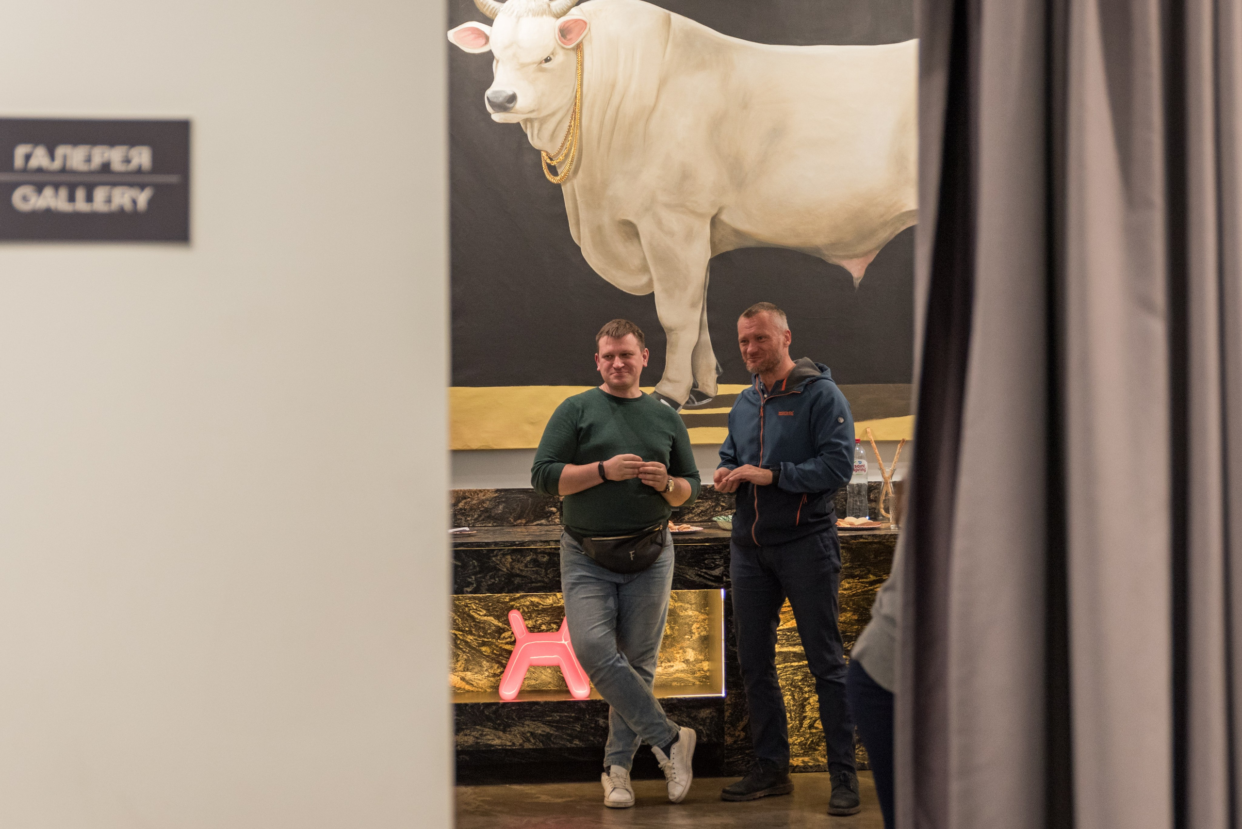 Психолог Ирина Иванова, репортаж с семинара. Фотограф в Санкт-Петербурге Виктор Кудряшов