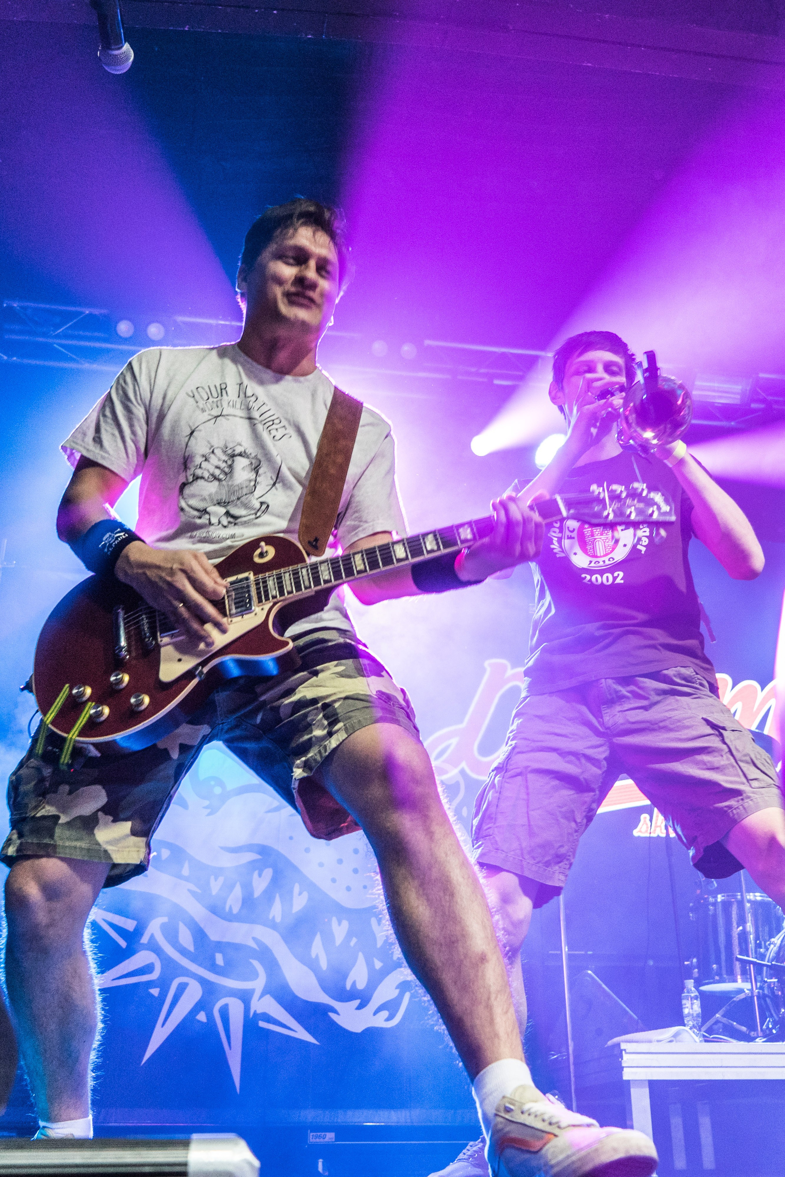 Distamper. Твой фотограф — Полосатый кот