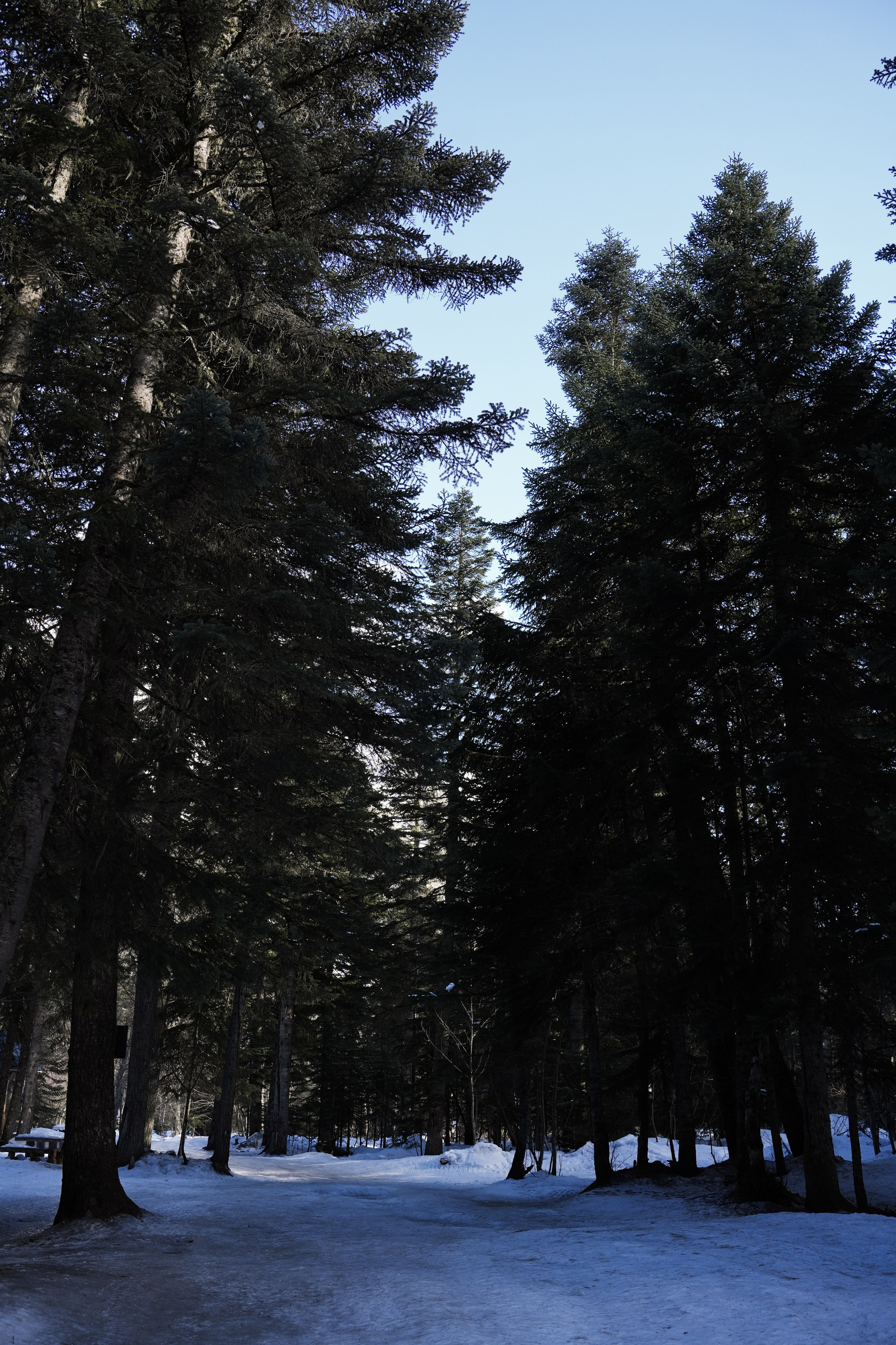 Кавказ. Анна Жукова — Режиссёр кино и цирка, сценарист, фотограф