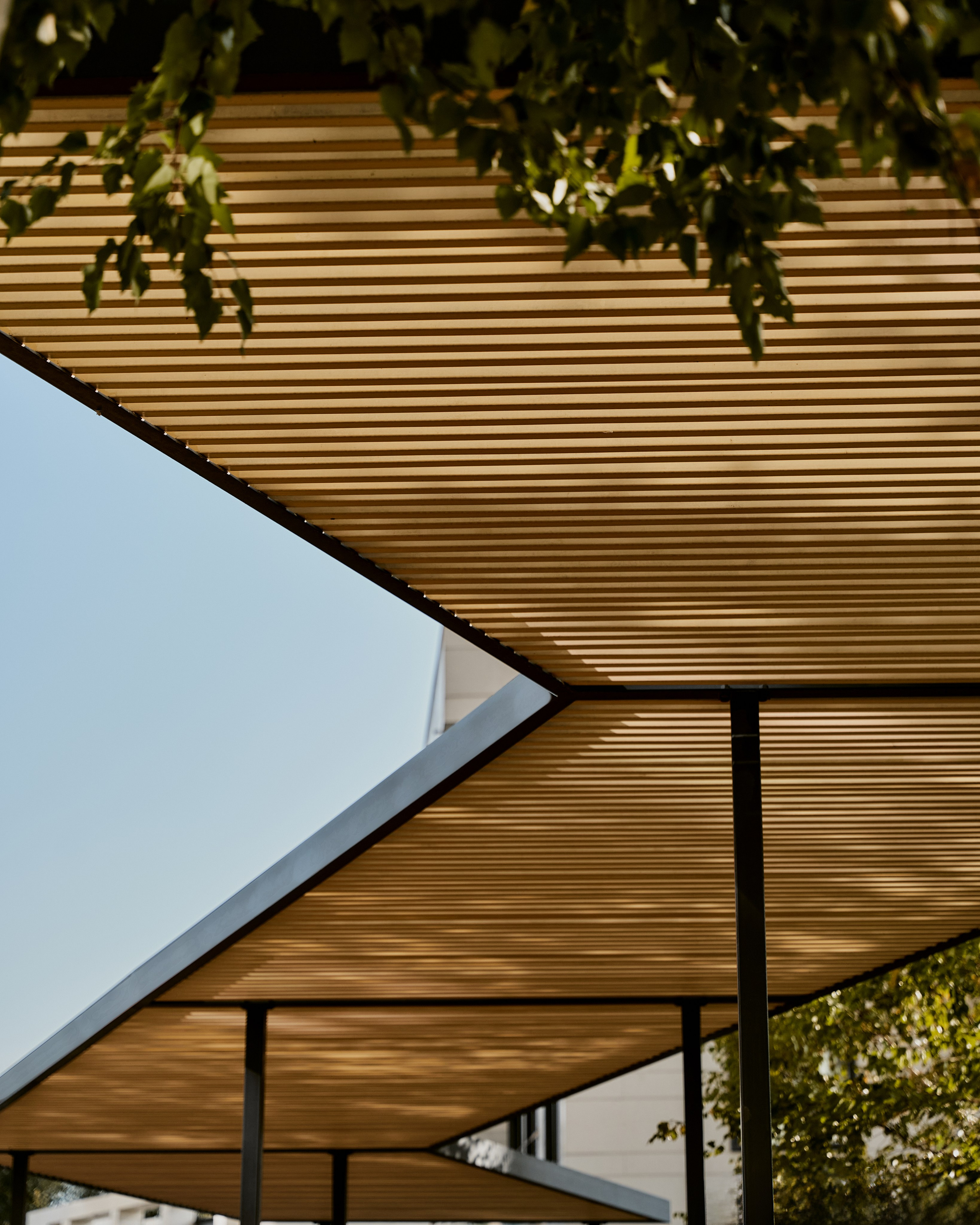 CORNUS. Фотограф Москва Сергей Громов