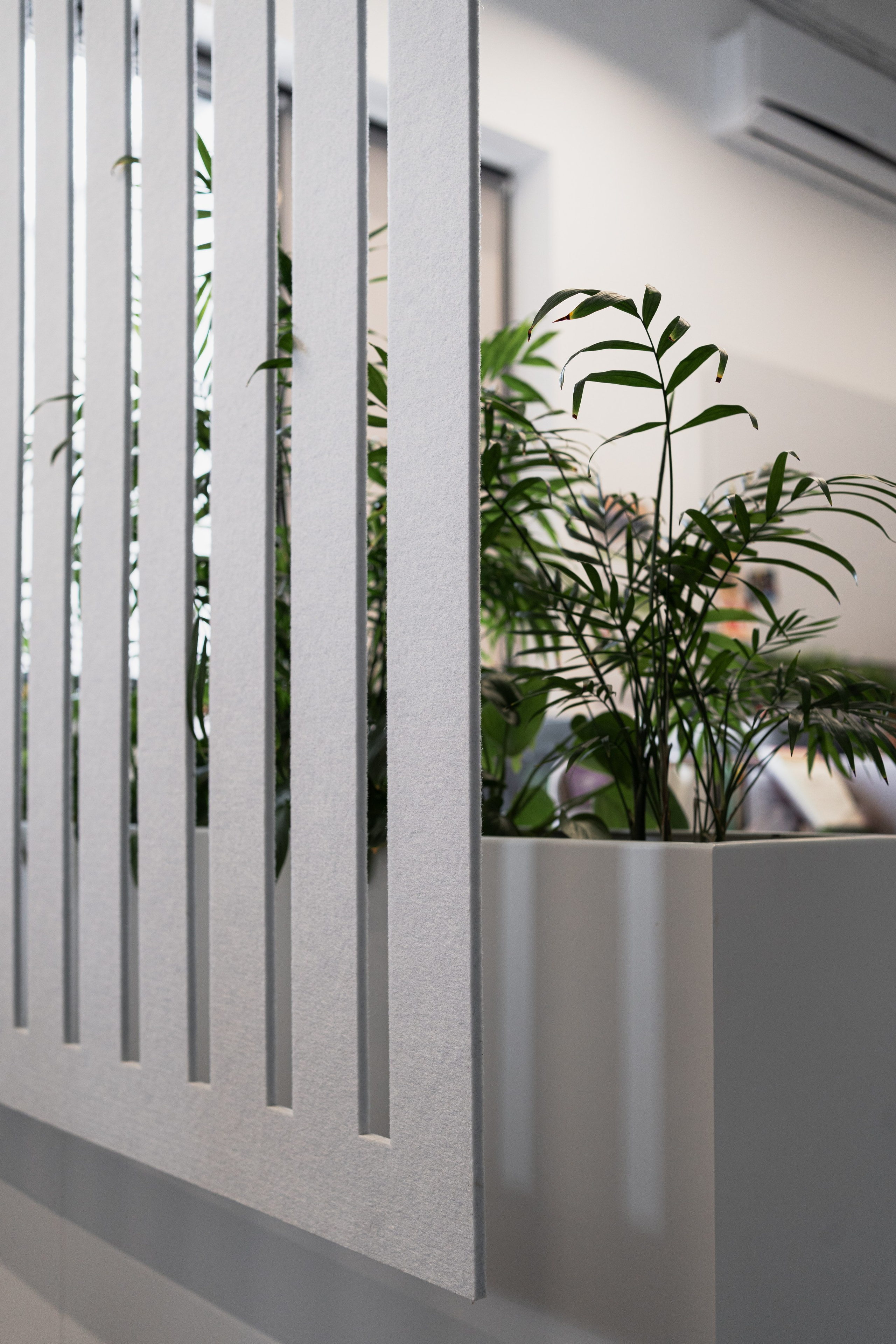 Terra. Елена Пашкевич, фотограф, Москва