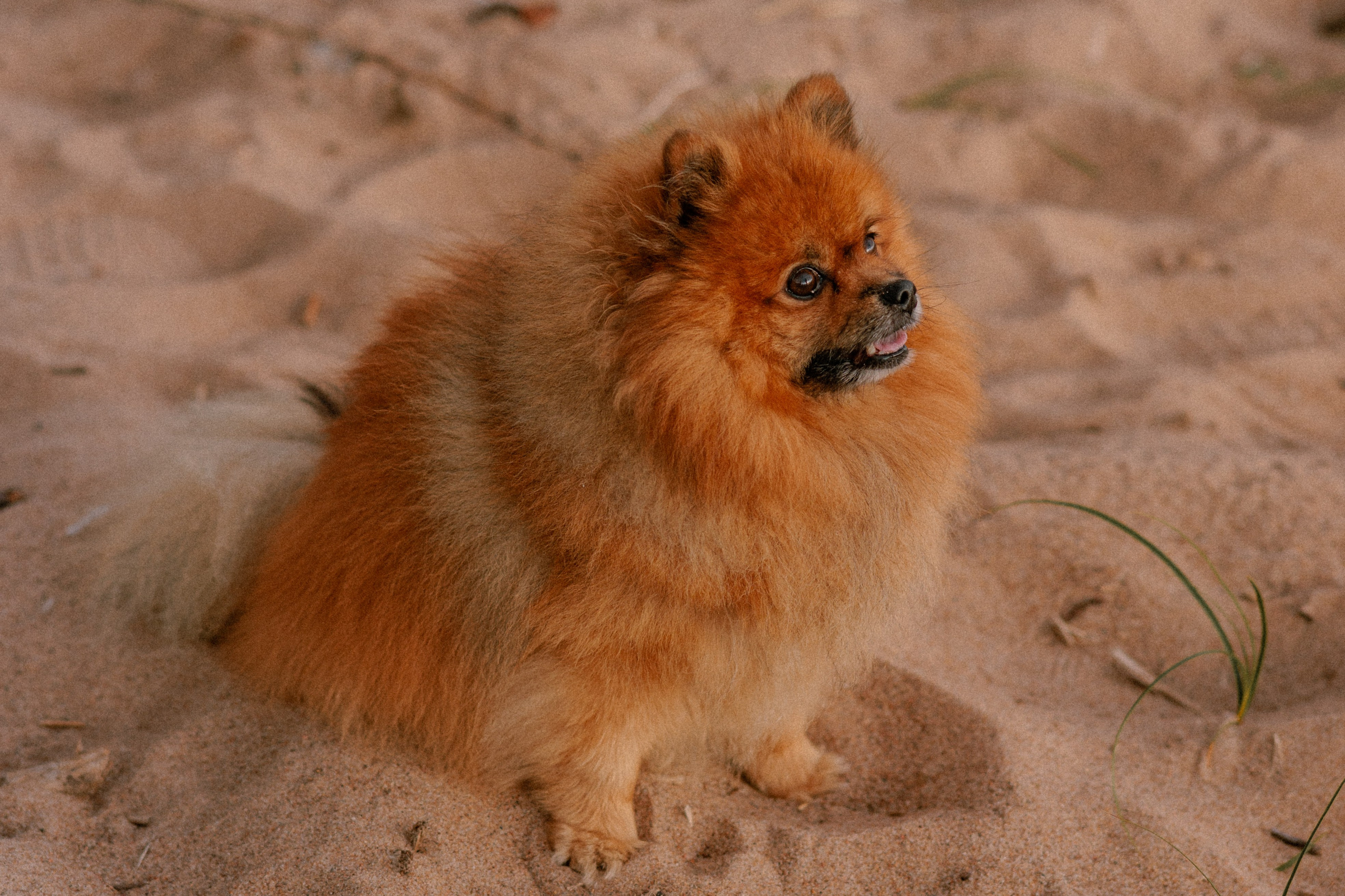 Маргарита и Космос. Фотограф в Санкт-Петербурге Алёна Губинская