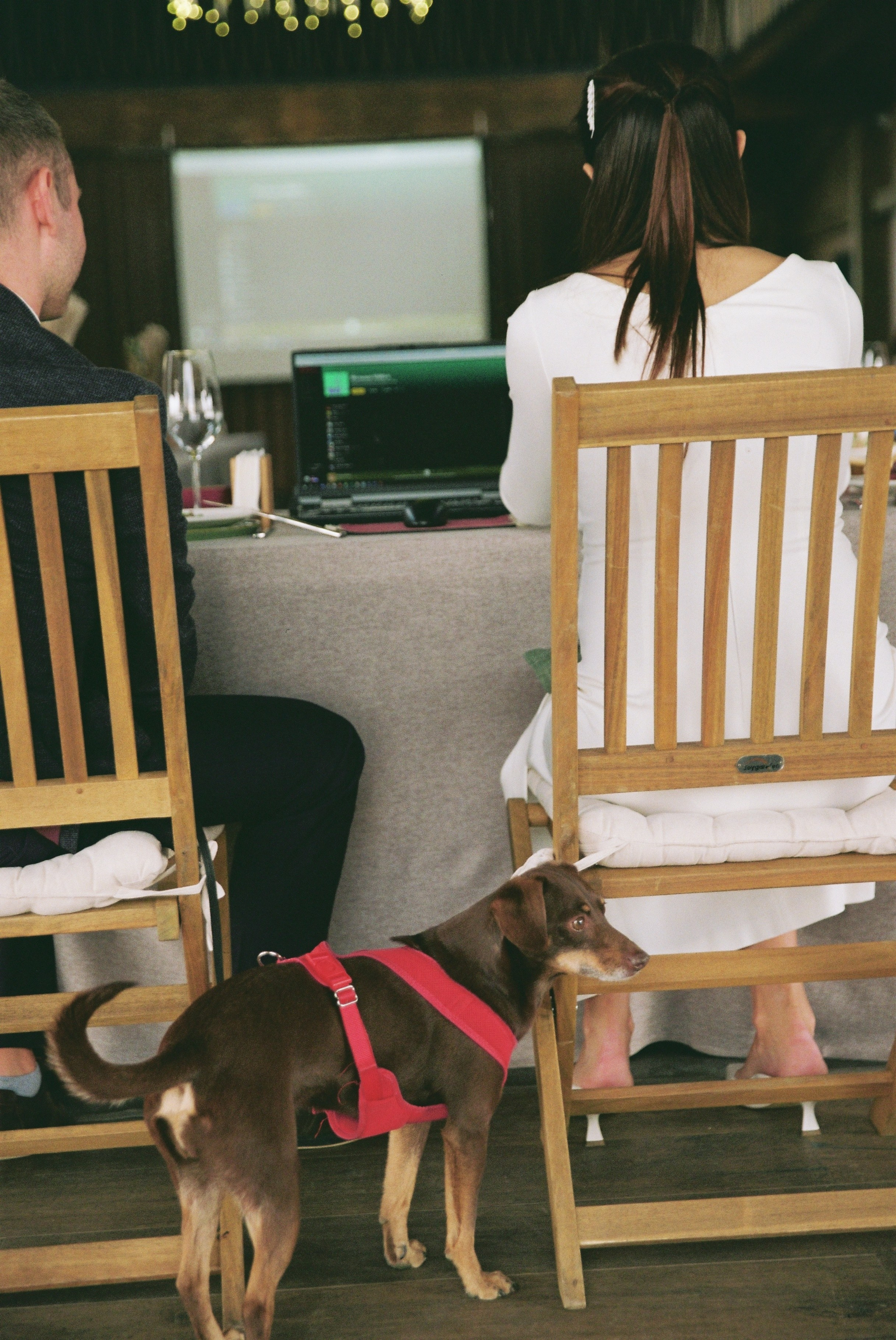 +1. Свадебный фотограф Ангелина Зотова | Обнинск, Москва, Калуга