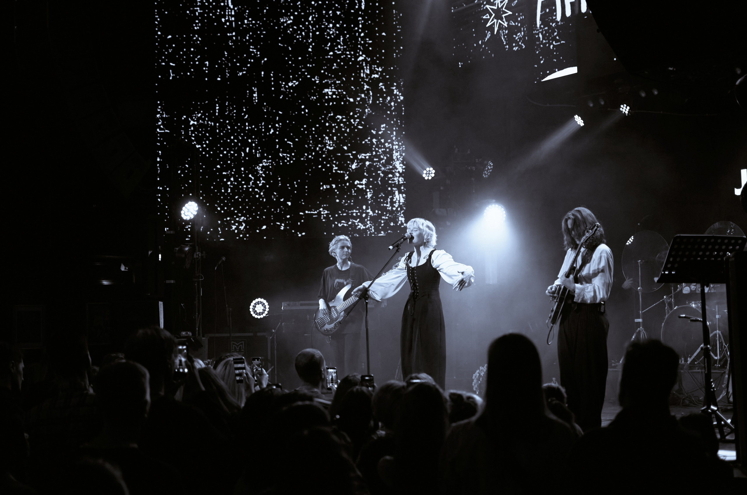 Концертные фото. Wirinsens