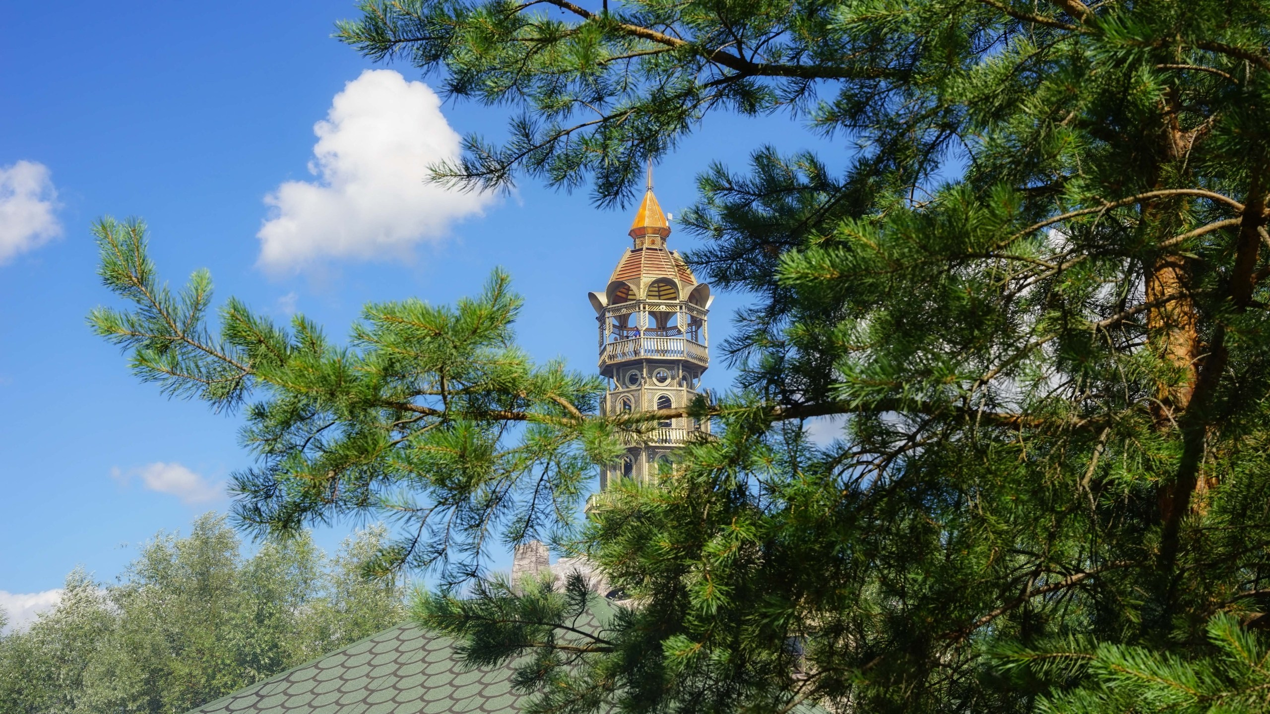 Шашлыки | 06.07.2024. Галерея Фантим