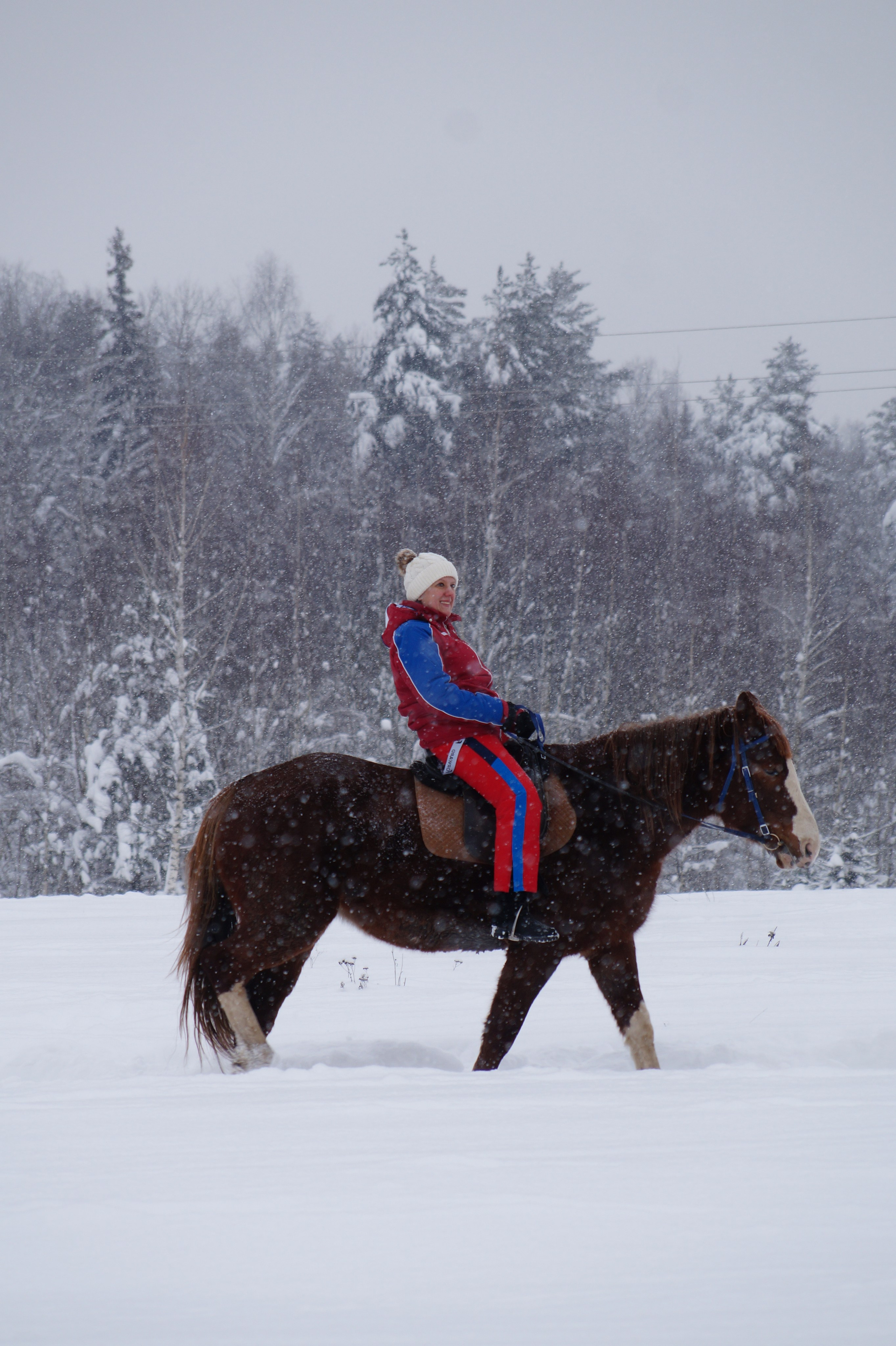 Лошадинг | 11.01.2026. Галерея Фантим