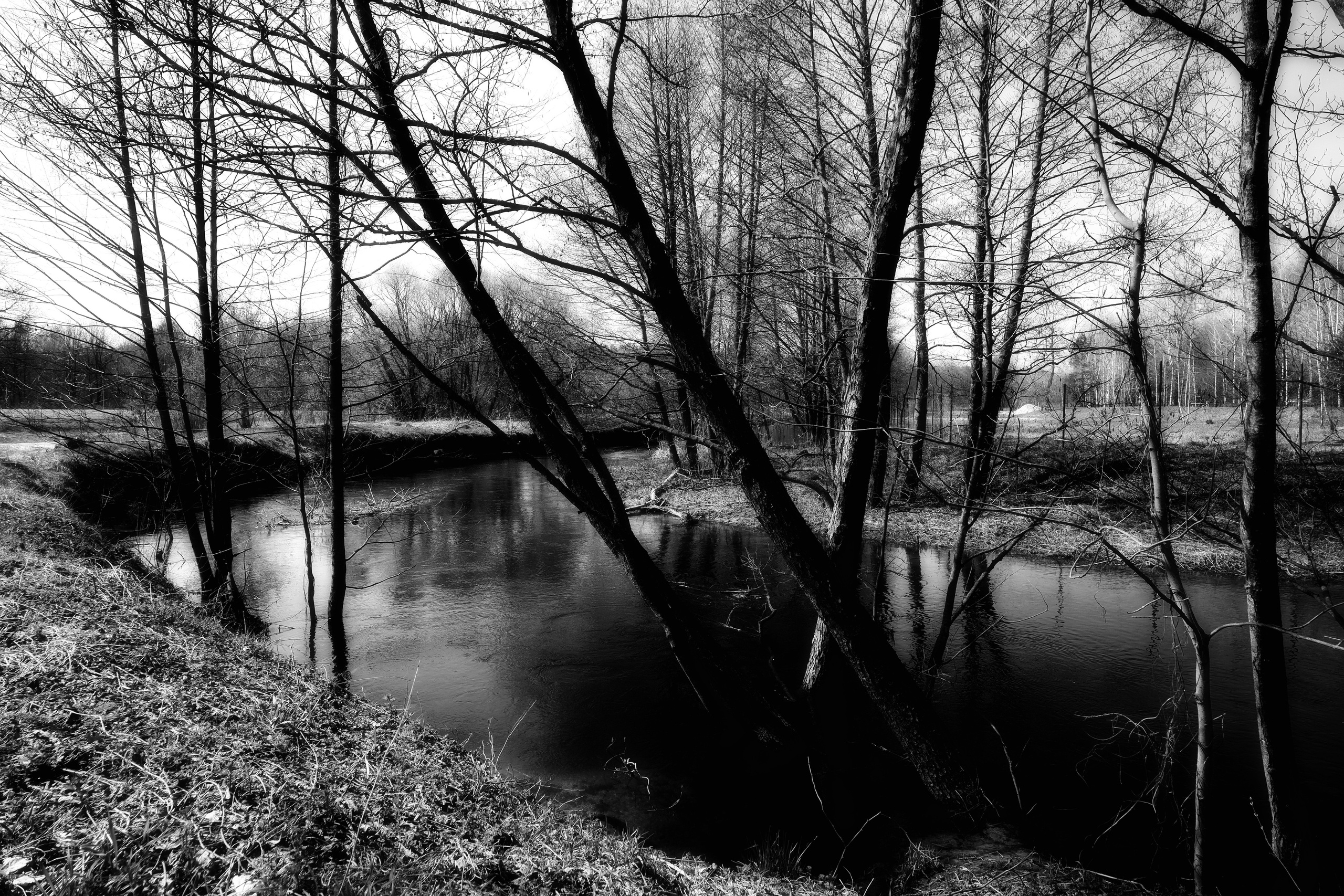 ЧБ  пейзажи (BnW landscape). Фотограф (photographer) Lischinski Vitaliy