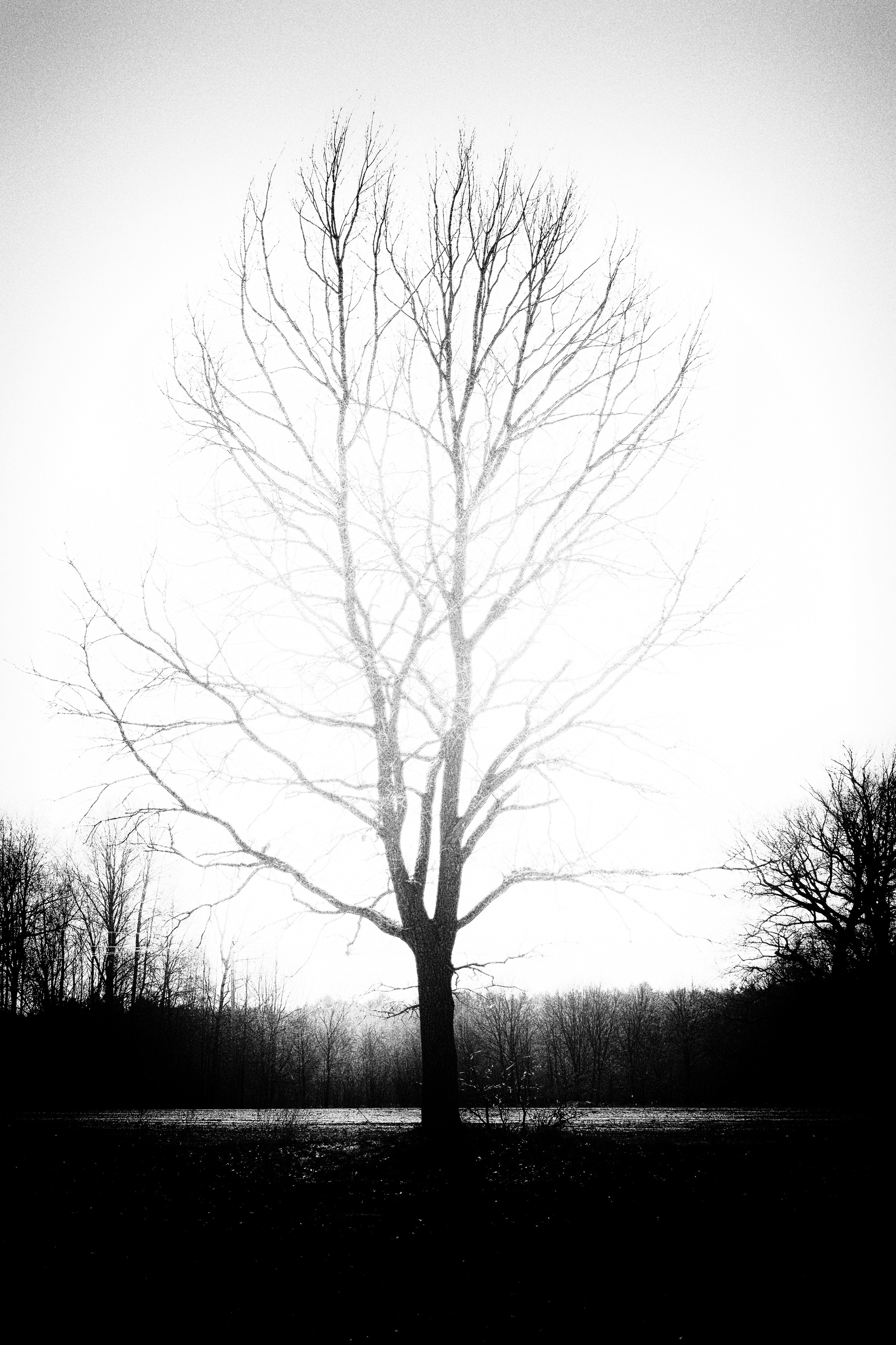 Surrealism, minimalism photo. Фотограф (photographer) Lischinski Vitaliy